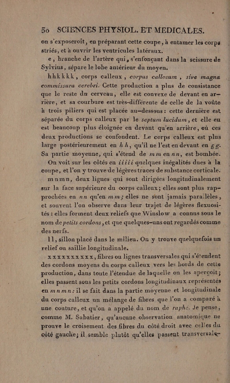 on s’exposeroit, en préparant cette coupe, a entamer les corps striés, et à ouvrir les ventricules latéraux. e, branche de l’artère qui, s’enfonçant dûhs la scissure de Sul , sépare le lobe antérieur du moyen, hhkkkk, corps calleux , corpus callosum , sive magna commissura cerebri. Cette production a plus de consistance que le reste dæ cerveau, elle est convexe de devant en ar- rière, et sa courbure est très-différente de celle de la voûte à trois piliers qui est placée au-dessous: cette dernière est séparée du corps calleux par le septum lucidum , et elle en est beaucoup plus éloignée en devant qu'en arrière, où ces deux productions se confondent. Le corps calleux est plus large postérieurement en À k, qu’il ne l’est en devant en g$ g. Sa partie der que s'étend de mmennn, est DUREE CROIRE coupe, Me on y trouve de RUES traces de substance MR D mnmn, deux lignes qui sont dirigées Jongitudinalement sur la face supérieure du corps calleux; elles sont plus rap- prochées en nn qu’en mm; elles ne sont jamais paraïlèles, et souvent l’on observe dans leur trajet de légères flexuosi- tés : elles forment deux reliefs que Winslow a connus sous le nom de petits cordons ,et que quelques-uns ont regardés comme des nerfs. 11, sillon placé dans le milieu. On y trouve quelquefois un relief ou saillie longitudinale, xxxxxxxxxx, fibres ou lignes transversales qui s'étendent des cordons moyens du corps calleux vers les bords de cette production, dans toute l’étendue de laquelle on les aperçoit ; elles passent sous les petits cordons longitudinaux représentés en mnmn:ilse fait dans la partie moyenne et longitudinale du corps calleux un mélange de fibres que l’on a comparé à une couture, et qu’on a appelé du nom de raphe. Je pense, comme M. Sabatier, qu'aucune observation anatomique ne prouve le croisement des fibres du côté droit avec celles du côté gauche; il semble plutôt qu’elles passent transversale