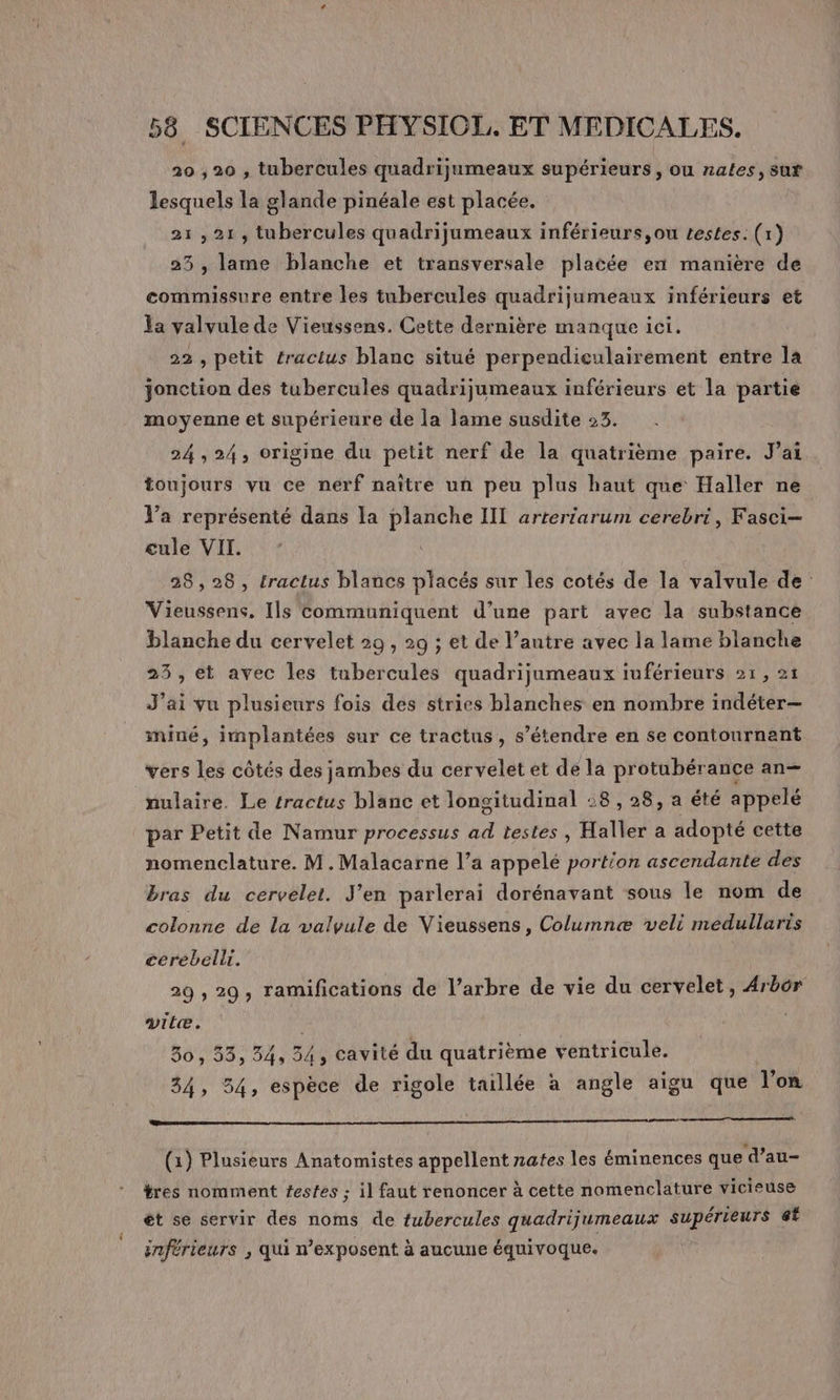 20 ,20 , tubercules quadrijumeaux supérieurs , ou rates, sur lesquels la glande pinéale est placée. 21,21, tubercules quadrijumeaux inférieurs,ou testes. (1) 23 , lame blanche et transversale placée en manière de commissure entre les tubercules quadrijumeaux inférieurs et la valvule de Vieussens. Cette dernière manque ici. 22, petit éractus blanc situé perpendiculairement entre la jonction des tubercules quadrijumeaux inférieurs et la partie moyenne et supérieure de la lame susdite 23. 24 ,24, origine du petit nerf de la quatrième paire. J'ai toujours vu ce nerf naître un peu plus haut que Haller ne l’a représenté dans la planche IIL arteriarum cerebri, Fasci— cule VII. 28,28, tractus blancs placés sur les cotés de la valvule de Vieussens. Ils communiquent d’une part avec la substance blanche du cervelet 29, 29 ; et de l’autre avec la lame blanche 23, et avec les tubercules quadrijumeaux iuférieurs 21, 21 J’ai vu plusieurs fois des stries blanches en nombre indéter— miné, implantées sur ce tractus, s’étendre en se contournant vers les côtés des jambes du cervelet et de la protubérance an— mulaire. Le tractus blanc et longitudinal :8 , 28, a été appelé par Petit de Namur processus ad testes, Haller a adopté cette nomenclature. M.Malacarne l’a appelé portion ascendante des bras du cervelet. J'en parlerai dorénavant sous le nom de colonne de la valvule de Vieussens, Columnæ veli medullaris cerébelli. 29 , 29, ramifications de l’arbre de vie du cervelet, 4rbor vite. 30, 33, 34, 34, cavité du quatrième ventricule. 34, 34, espèce de rigole taillée à angle aigu que l’on (1) Plusieurs Anatomistes appellent nates les éminences que d’au- tres nomment festes ; il faut renoncer à cette nomenclature vicieuse êt se servir des noms de fubercules quadrijumeaux supérieurs st inférieurs ; qui n’exposent à aucune équivoque.