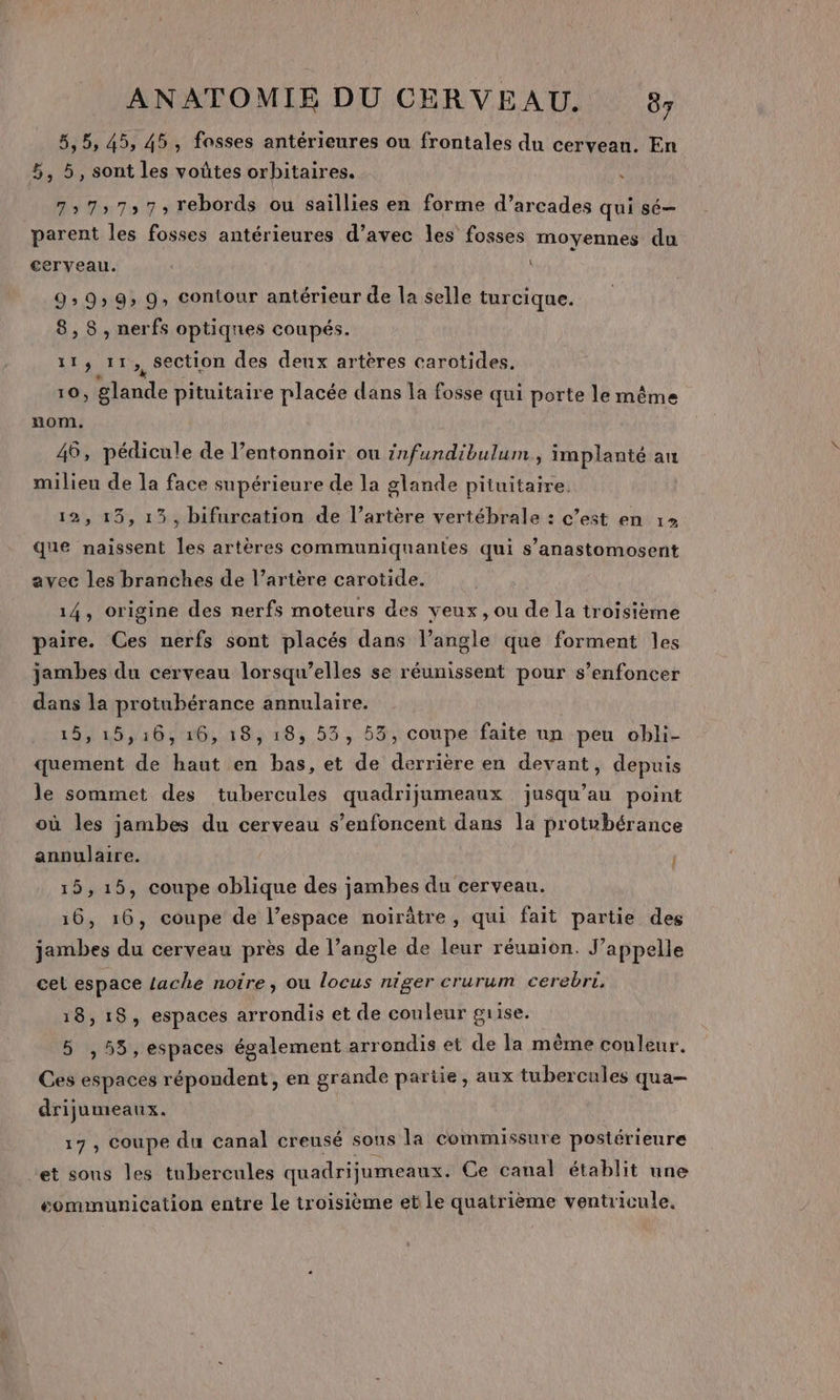 5,5, 45, 45, fosses antérieures ou frontales du cerveau. En 5, 5, sont les voûtes orbitaires. 7575757, rebords ou saillies en forme d’arcades qui sé- parent les fosses antérieures d’avec les fosses moyennes du cerveau. 9» 95 9» 9, contour antérieur de la selle turcique. 8, 8, nerfs optiques coupés. 11, 11, section des deux artères carotides. 10, glande pituitaire placée dans la fosse qui porte le même nom. 46, pédicule de l’entonnoir ou infundibulum ., implanté au milieu de la face supérieure de la glande pituitaire. 12, 15, 13, bifurcation de l’artère vertébrale : c’est en 12 que naissent les artères communiquantes qui s’anastomosent avec les branches de l’artère carotide. 14, origine des nerfs moteurs des yeux, ou de la troisième paire. Ces nerfs sont placés dans l’angle que forment les jambes du cerveau lorsqu'elles se réunissent pour s’enfoncer dans la protubérance annulaire. 15, 15,16, 16, 18, 18, 53, 53, coupe faite un peu obli- quement de haut en bas, et de derrière en devant, depuis le sommet des tubercules quadrijumeaux jusqu’au point où les jambes du cerveau s’enfoncent dans la protubérance annulaire. ; 15,15, coupe oblique des jambes du cerveau. 16, 16, coupe de l’espace noirâtre, qui fait partie des jambes du cerveau près de l’angle de leur réunion. J’appelle cel espace lache notre, ou locus niger crurum cerebri. 18,18, espaces arrondis et de couleur grise. 5 ,55, espaces également arrondis et de la même conleur. Ces espaces répondent, en grande partie, aux tubercules qua- drijumeaux. 17, coupe du canal creusé sons la commissure postérieure et sons les tubercules quadrijumeaux. Ce canal établit une communication entre le troisième et le quatrième ventricule.