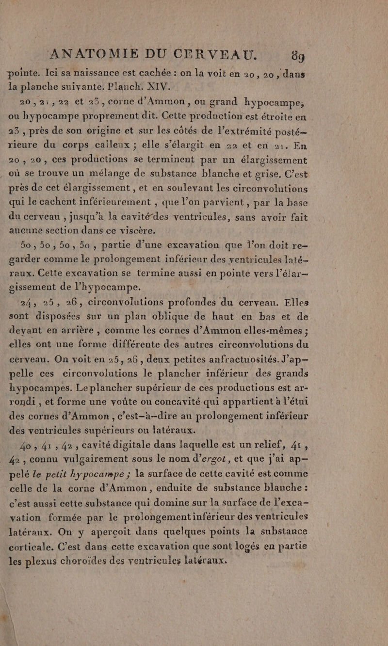 pointe. Ici sa naissance est cachée : on la voit en 20, 20, dans la planche suivante. Planch. XIV. 20,21,22 et 25, corne d’Ammon, ou grand hypocampe, ou hypocampe proprement dit. Cette production est étroite en 23 , près de son origine et sur les côtés de l’extrémité posté rieure du corps calleux ; elle s’élargit en 22 et en °1. En 20 , 20, ces productions se terminent par un élargissement où se trouve un mélange de substance blanche et grise, C’est près de cet élargissement , et en soulevant les circonvolutions qui le cachent inférieurement , que l’on parvient , par la base du cerveau , jusqu’à la cavitédes ventricules, sans avoir fait aucune section dans ce viscère, 5o, 50, 50, 5o , partie d’une excavation que l’on doit re- garder comme le prolongement inférieur des ventricules laté- raux. Cette excayation se termine aussi en pointe vers l’élar— gissement de l’hypocampe. 24, 25, 26, circonvolutions profondes du cerveau. Elles sont disposées sur un plan oblique de haut en bas et de deyant en arrière , comme les cornes d’Ammon elles-mêmes ; elles ont une forme différente des autres circonvolutions du cerveau. On voit en 25, 26, deux petites anfractuosités. J’ap-— pelle ces circonvolutions le plancher inférieur des grands hypocampes. Le plancher supérieur de ces productions est ar- rondi , et forme une voûte ou concavité qui appartient à l’étui des cornes d’Ammon , c’est-a-dire au prolongement inférieur des ventricules supérieurs ou latéraux. 40 , 41 , 42, cavité digitale dans laquelle est un relief, 41, 42 , connu vulgairement sous le nom d’ergot, et que j'ai ap— pelé Le petit hypocampe ; la surface de cette cavité est comme celle de la corne d’Amimon, enduite de substance blanche : c’est aussi cette substance qui domine sur la surface de l’exca- vation formée par le prolongement inférieur des ventricules latéraux. On y aperçoit dans quelques points la substance corticale. C’est dans cette excavation que sont logés en parte les plexus choroïdes des ventricules latéraux.