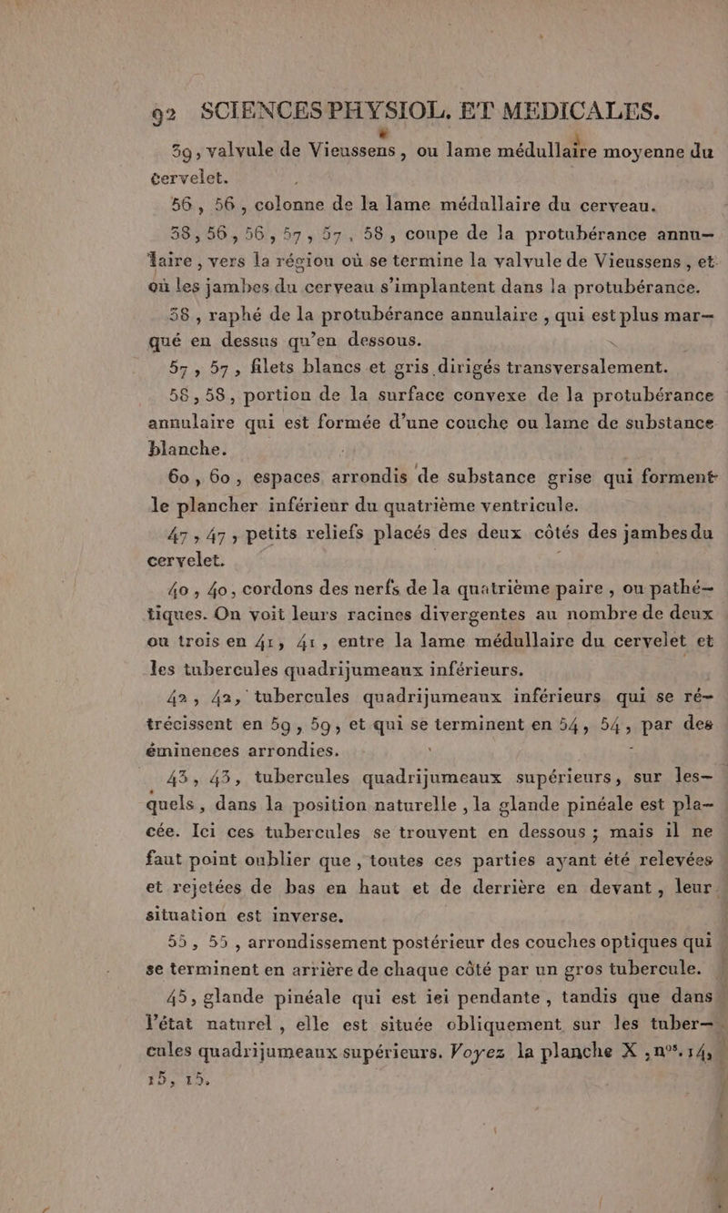 39, valvule de Me , ou lame médulläire moyenne du cervelet. 56, 56, colonne de la lame médallaire du cerveau. 58,56, 56, 57, 57, 58, coupe de la protubérance annu- aire , vers la régiou où se termine la valvule de Vieussens , et: où les jambes du cerveau s’implantent dans la protubérance. 38 , raphé de la protubérance annulaire , qui est plus mar qué en dessus qu’en dessous. . 57, 57, filets blancs et gris dirigés transversalement. 58,58, portion de la surface convexe de la protubérance annulaire qui est formée d’une couche ou lame de substance blanche. | 60 , 60, espaces arrondis de substance grise qui forment: le plancher inférieur du quatrième ventricule. 47 ; 47, petits reliefs placés des deux côtés des jambesdu cervelet. 40 , 4o, cordons des nerfs de la quatrième paire , ou pathé- tiques. On voit leurs racines divergentes au nombre de deux ou trois en 41, 41, entre la lame médullaire du cervelet et les tubercules quadrijumeaux inférieurs. | 42, 42, tubercules quadrijumeaux inférieurs qui se ré- trécissent en 5g, 59, et qui se terminent en 54, 54, FPE des éminences arrondies. 43, 43, tubercules quadrijumeaux supérieurs, sur les- quels, dans la position naturelle , la glande pinéale est pla- cée. Ici ces tubercules se trouvent en dessous ; mais il ne faut point oublier que , toutes ces parties ayant été relevées et rejetées de bas en haut et de derrière en devant, leur» situation est inverse. | 55, 55 , arrondissement postérieur des couches optiques qui se terminent en arrière de chaque côté par un gros tubercule. 45, glande pinéale qui est iei pendante , tandis que dans ‘état naturel , elle est située obliquement sur les tuber—s cules quadrijumeaux supérieurs. Voyez la planche X ,n°*. As à ÉpE Let à