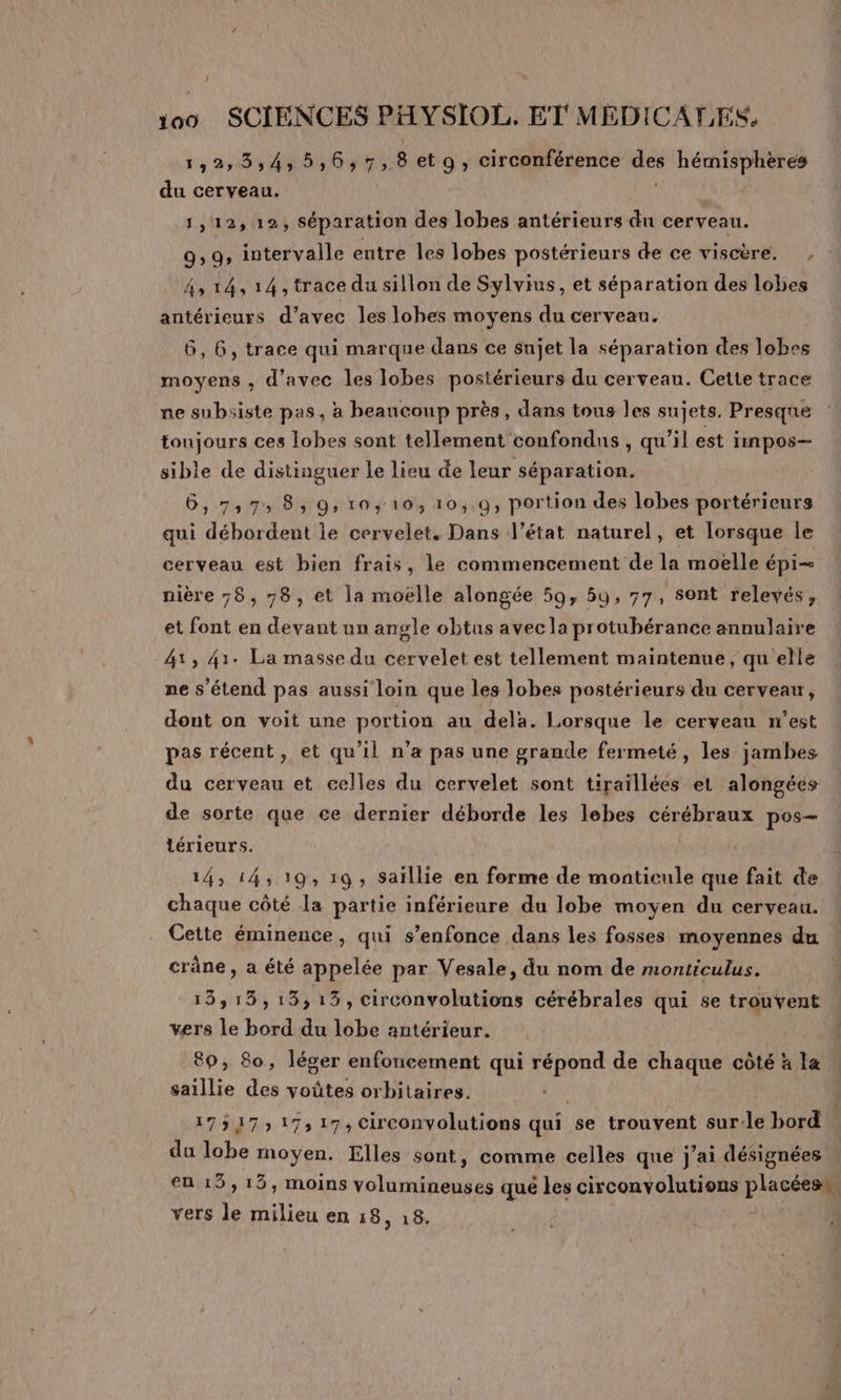 1 100 SCIENCES PHYSIOL. ET MÉDICALES, 152%: 354 5:6:7, 8 et9, circonférence des hémisphères du cerveau. PAL NEe. 1,12, 12, séparation des lobes antérieurs du cerveau. 9,9, intervalle entre les lobes postérieurs de ce viscère. , 43 14, 14, trace du sillon de Sylvius, et séparation des lobes antérieurs d’avec les lohes moyens du cerveau. 6, 6, trace qui marque dans ce sujet la séparation des lobes moyens , d'avec les lobes postérieurs du cerveau. Cette trace ne subsiste pas, à beaucoup près, dans tous les sujets. Presque toujours ces lobes sont tellement confondus , qu’il est linmpos— sible de distinguer le lieu de leur séparation. 6, 7575 85 9: 10, 103 10,9, portion des lobes portérieurs qui débordent le cervelet. Dans l’état naturel, et [lorsque le cerveau est bien frais, le commencement de la moëlle épi nière 76, 78, et la moëlle alongée 59, 50, 77, sont relevés, et font en devant un angle obtus avec la protubérance annulaire 41, 41: La masse du cervelet est tellement maintenue, qu elle ne s'étend pas aussi loin que les lobes postérieurs du cerveau, dont on voit une portion au dela. Lorsque le cerveau n'est pas récent, et qu’il n’a pas une grande fermeté, les jambes du cerveau et celles du cervelet sont tiraillées et alongéés de sorte que ce dernier déborde les lebes cérébraux pos- térieurs. 14, 14, 19, 19, Saïllie en forme de monticule que fait de chaque côté la partie inférieure du lobe moyen du cerveau. Cette éminence, qui s’enfonce dans les fosses moyennes du crâne, a été appelée par Vesale, du nom de monticulus. 13,15,15,15,circonvolutions cérébrales qui se trouvent vers le bord du lobe antérieur. 80; 80, léger enfoncement qui répond de chaque côté à la saillie des voûtes orbitaires. OA 175175 17517; Circonvolutions qui se trouvent sur-le bord du lobe marge Elles sont, comme celles que j'ai désignées en 13,13, moins een qué les circonvolutions placer vers le A en 18, 18. ’