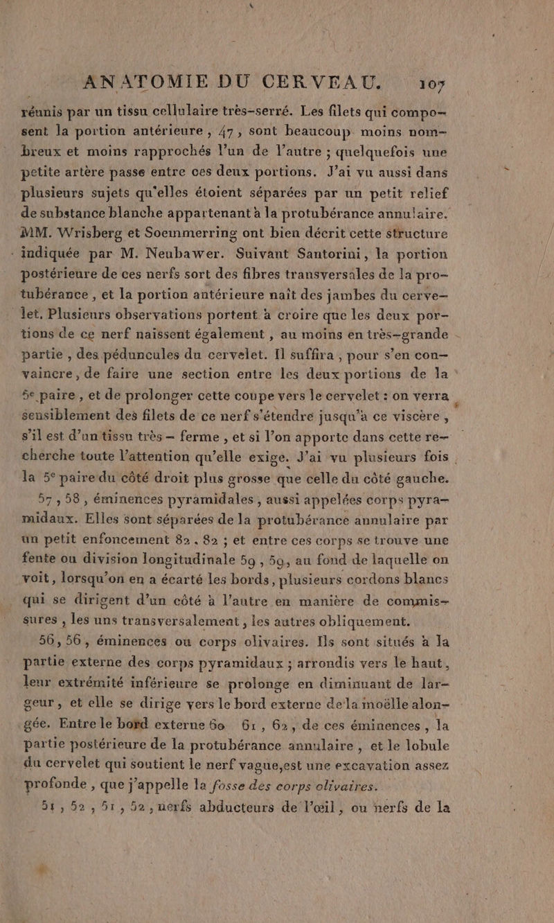 réunis par un tissu cellulaire très-serré. Les filets qui compo- sent la portion antérieure , 47, sont beaucoup moins nom- breux et moins rapprochés l’un de l’autre ; quelquefois une petite artère passe entre ces deux portions, J'ai vu aussi dans plusieurs sujets qu'elles étoient séparées par un petit relief de substance blanche appartenant à la protubérance annulaire. MM. Wrisberg et Soemmerring ont bien décrit cette structure * indiquée par M. Neubawer. Suivant Sautorini, la portion postérieure de ces nerfs sort des fibres transversales de la pro- tubérance , et la portion antérieure naît des jambes du cerve— let, Plusieurs observations portent à croire que les deux por- tions de ce nerf naissent également , au moins en très-grande partie , des péduncules du cervelet. [l suffira, pour s’en con— vaincre, de faire une section entre les deux portions de Ja 5e paire , et de prolonger cette coupe vers le cervelet : on verra ” sensiblement des filets de ce nerf s'étendre jusqu'a ce viscère, s’il est d’un tissu très — ferme , et si l’on apporte dans cette re- ehänère toute l’attention qu ’elle exige. J'ai vu plusieurs fois la 5° pairedu côté droit plus grosse que celle du côté gauche. 57 , 58, éminentes pyramidales , aussi appelées Corps pyra— APRES Elles sont séparées de la protubérance annulaire par un petit enfoncement 82. 82 ; ; et entre Ces corps se irouve une fente ou division longitudinale 59 , 50, au fond de laquelle on voit, lorsqu'on en a écarté les bords, plusieurs cordons blancs qui se dirigent d’un côté à l’autre en manière de commis- sures , les uns transversalement , les autres obliquement. 56, 56, éminerces ou corps olivaires. Ils sont situés à Ja partie externe des corps pyramidaux ; arrondis vers le haut, leur extrémité inférieure se prolonge en diminuant de lar- geur, et elle se dirige vers le bord externe dela moëlle alon- .gée. Entre le bord externe 6o 61, 62, de ces éminences, la partie postérieure de la protubérance annulaire , et le lobule du cervelet qui soutient le nerf vague,est une excayation assez profonde , que j'appelle la fosse des corps olivaires. 54,52, 51, 52, üerfs abducteurs de l’œil, ou nerfs de la