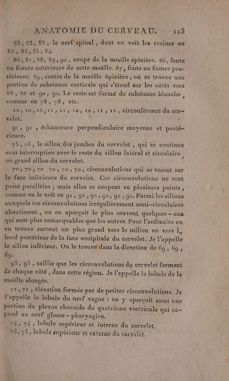 85 , 83, 85, le nerf spinal , dont on voit les racines en 85, 85,85, 84. | | 86 , 87, 88, 89, go , coupe de la moëlle épinière. 86, fente ou fissure antérieure de cette moëlle. 87, fente ou fissure pos- térieure. 80, centre de la moëlle épinière , où se trouve une portion de substance corticale qui s'étend sur les côtés vers 88, 88 et 90, go. Le reste est formé de substance blanche, comme en 78, 78, etc. 10, 10103113» 113 10» 10311; 11, Circonférence du cer= + velet, | 91, 91 ,; échancrure perpendiculaire moyenne et posté- rieure. \ 75 , 76, le sillon des jambes du cervelet , qui se continue sans interruption avec le reste du sillon latéral et circulaire À ou grand sillon du cervelet. 79, 70,70 70, 70, 70, circonvolutions qui se voient sur la face inférieure du cervelet, Ces circonvolutions ne sont point parallèles ; mais elles se coupent en plusieurs points , comme on le voit en 92, 92, 92, 92, 92 , 92. Parmi les sillons auxquels ces circonvolutions irrégulièrement semi-circulaires aboutissent , on en aperçoit le plus souvent quelques - uns qui sont plus remarquables que les autres. Pour l’ordinaire on en trouve surtout un plus grand vers le milieu ou vers 1. bord postérieur de la face occipitale du cervelet. Je l’appelle le sillon inférieur. On le trouve dans la direction de 69 , 69; 69. | 93, 95 , saillie que les circonvolutions du cervelet forment de chaque côté , dans cette région. Je l’appelle le lobule de la moëlle alongée. 71» 71 élévation formée par de petites circonvolutions. Je l'appelle le lobule du nerf vague : on y apercoit aussi une portion du plexus choroïde du quatrième ventricule qui ré pond au nerf glosso - pharyngien. 74» 74 ; lobule supérieur et interne du cervelet. 79, 75 , lobule supérieur et externe du cervelet.