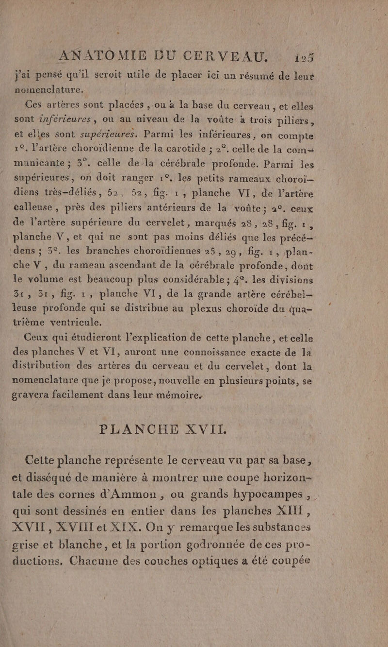 j'ai pensé qu'il seroit utile de placer ici un résumé de leu* nomenclature. Ces artères sont placées , ou à la base du cerveau , et elles sont inférieures, où au niveau de la voûte à trois piliers, et elles sont supérieures. Parmi les inférieures, on compte 1°. l'artère choroïidienne de la carotide ; 2°, celle de la com municanie ; 3°. celle dela cérébrale profonde. Parmi les supérieures, on doit ranger 1°. les petits rameaux choroï-— diens très-déliés, 52, 52, fig. 1 , planche VI, de l’artère calleuse , près des piliers antérieurs de la voûte; 42. ceux de l’artère supérieure du cervelet, marqués 28, 28, Hors planche V,et qui ne sont pas moins déliés que les précé- (dens ; 5°. les branches choroïdiennes 25, 29, fig. 1, plan- che V , du rameau ascendant de la cérébrale profonde, dont le volume est beaucoup plus considérable ; 4°. les divisions 31, 31, fig. 1, planche VI, de la grande artère cérébel- leuse profonde qui se distribue au plexus choroïde du qua- trième ventricule. | Ceux qui étudieront l’explication de cette planche, et celle des planches V et VI, auront une connoiïissance exacte de la distribution des artères du cerveau et du cervelet, dont la nomenclature que je propose, nouvelle en plusieurs points, se grayera facilement dans leur mémoire. PLANCHE XVII. Cette planche représente le cerveau vu par sa base, et disséqué de manière à montrer une coupe horizon- tale des cornes d'Ammon , ou grands hyÿpocampes , qui sont dessinés en entier dans les planches XIII, XVII, XVIIL et XIX. On y remarque les substances grise et blanche, et la portion godronnée de ces pro- ductions. Chacune des couches optiques a été coupée