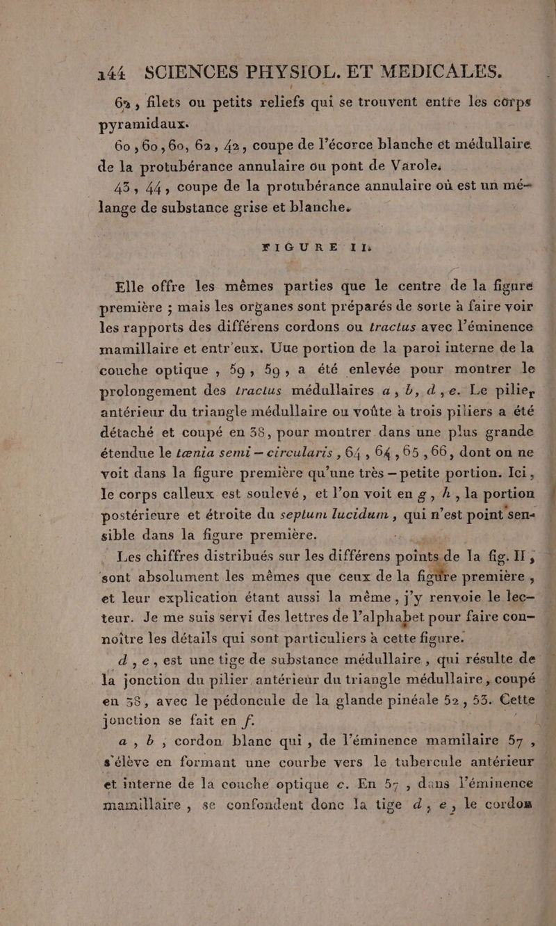 6% , filets ou petits reliefs qui se trouvent entre les corps pyramidaux. 60 ,60,60, 62, 42, coupe de l’écorce blanche ét médullaire de la protubérance annulaire ou pont de Varole: 43, 44, coupe de la protubérance annulaire où est un mé- lange de substance grise et blanche, FIGURE If Elle offre les mêmes parties que le centre de la fignre première ; mais les oranes sont préparés de sorte à faire voir les rapports des différens cordons ou tractus avec l’éminencé mamillaire et entr'eux. Uue portion de la paroiï interne de la couche optique , 59, 59, a été enlevée pour montrer le prolongement des tractus médullaires a, b, d ,e. Le pilie, antérieur du triangle médullaire ou voûte à trois piliers a été détaché et coupé en 38, pour montrer dans une plus grande étendue le £ænia semi — circularis , 64 , 64,65 ,66, dont on ne voit dans la figure première qu’une très — petite portion. Ici, le corps calleux est soulevé, et l’on voit en g, A, la portion postérieure et étroite du seplum lucidum , qui n’est point'sen« sible dans la figure première. Les chiffres distribués sur les différens points à la fig. Ir, ‘sont absolument les mêmes que ceux de la figüre première , et leur explication étant aussi la mème, j'y renvoie le lec- teur. Je me suis servi des lettres de l'alphabet pour faire con- noiître les détails qui sont particuliers à cette figure. d ,e,est une tige de substance médullaire , qui résulte de la jonction du pilier antérieur du triangle médullaire , coupé en 58, avec le pédoncule de la ne pinéale 52, 53. Cette jonction se fait en f. a , b , cordon blanc qui , de l’éminence mamilaire 57, s'élève en formant une courbe vers le tubercule antérieur et interne de la couche optique c. En 57 , dans l’éminence mamillaire , se confondent donc la tige d, e, le cordom