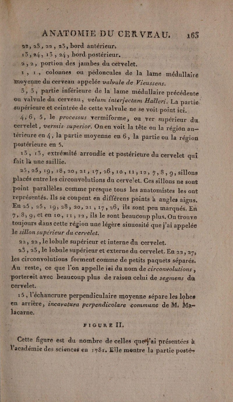 22,23,22, 23, bord antérieur. 10024 13524 bord postérieur. 25,2, portion des jambes du cervelet. | 1, 1, colonnes ou pédoncules de la lame médullaire 3, 5, partie inférieure de la lame médullaire précédente ou valvule du cerveau, velum tnterjectum Haïleri. La partié. supérieure et ceintrée de cette valvule ne se voit point ici. 4,6, 5, le processus vermiforme, ou ver supérieur du. cervelet, vermis superior. Onen voit la tête ou la régiôn an— térieure en 4, la partie moyenne en 6, la partie ou la région postérieure en 5. 13, 15, extrémité arrondie et postérieure du cervelet qui fait là une saillie, | 25,25, 19; 18,20; 21 517, 26,10,11,12, 7589; sillons placés entre les circonvolutions du cervelet, Ces sillons ne sont point parallèles comme présque tous les anatomistes les ont représentés. Ils se coupent en différens points à angles aigus. En 25,25, 19; 28; 20,21, 17, 26, ils sont peu marqués. En toujours dans cette région uné légère sinuosité que j'ai appelée le sillon superieur du cervelet. s 22, 22, le lobulé supérieur et interne du cervelet. 23 , 25, le lobule supérieur et externe du cervelet. En 22, 273 les circonvolutions forment comme de petits paquets séparés, Au reste, ce que l'on appelle iei du nom de circonvolutions , portereit avec beaueoup plus de raison celui de segmens du cérvelet. 15, l’échancrure perpendiculaire moyenne sépare les di a lacarne. FIGURE II: Cette figure est du nombre de celles quefj’ai présentées à l'académie des sciences en 1581. Elle mentre la partie posté