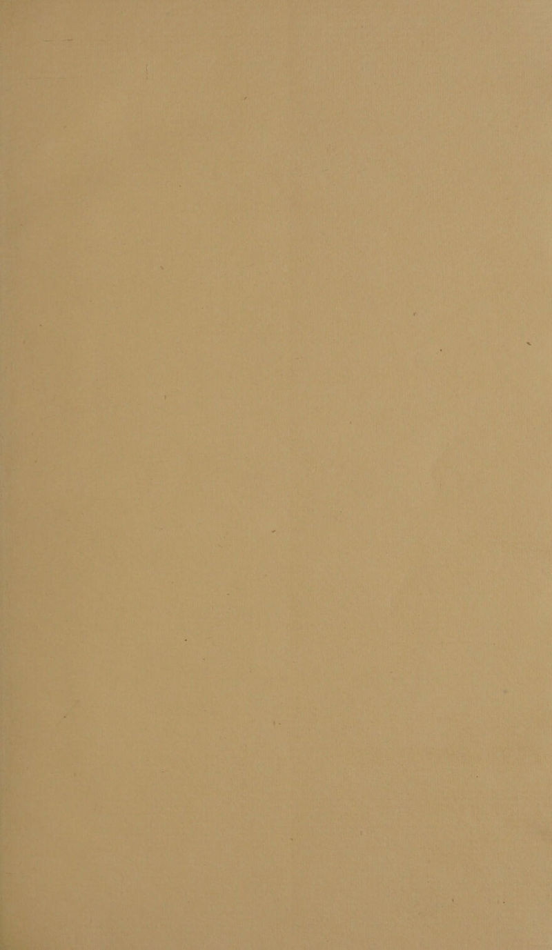 ‘TA ae a: eete) wont nai! 4 i } 6 ie ae WAY ten ; | \ |