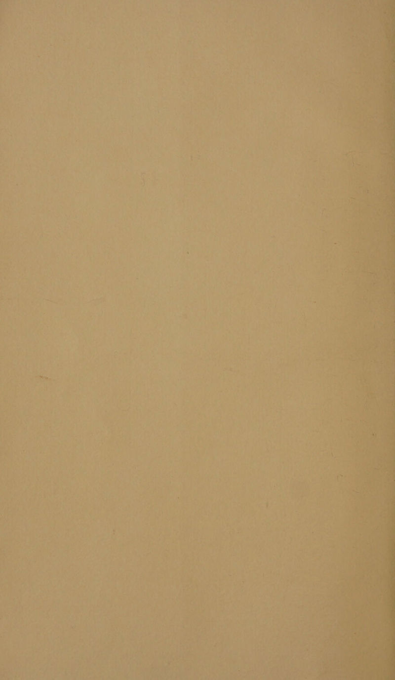 4 Ais oer re S : - va me 9 ; yf a) a vy ' tee A ADL oe “oie eae nat ea ae : ue t ee ‘g i: P were 4