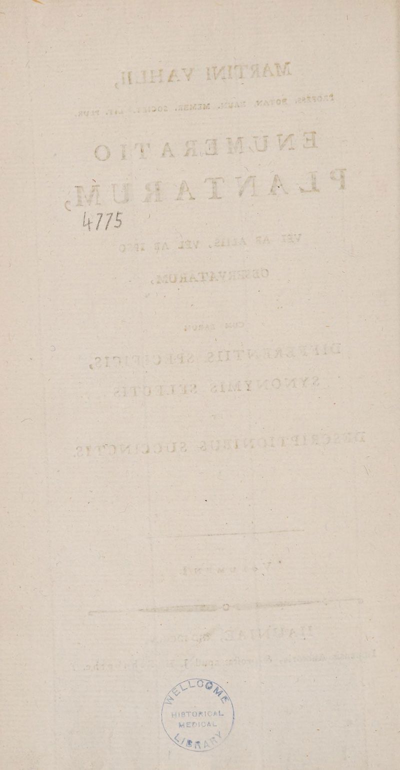 H v ode ss ipse ig RR me 251 UE ap et V vip s rM ar Mi ipo SEM