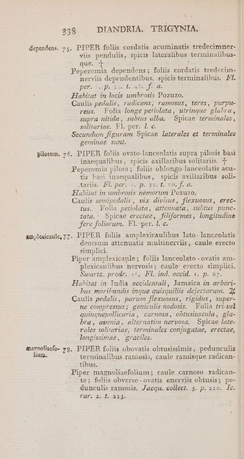 A 7 448 — DIANDRIA. TRIGYNIA. dependens. 75. PIPER foliis cordatis acuminatis tredecimner- viis pendulis, spicis lateralibus terminalibus- que. t : Peperomia dependens; foliis cordatis tredecim- nerviis dependentibus, spicis terminalibus. £7. Des, x gei t. 992 hu. | Habitat in locis umbrosis Pozuzo. Caulis pedalis, radicans, ramosus, teres, purpu- reus. Folia longe petiolata, utrinque glabra, supra nitida, subtus alba. Spicae terminales, solitariae. Vl. per. L c. Secundum figuram Spicae laterales et terminales geminae sunt. - pilosum, 76, PIPER foliis ovato-lanceolatis supra pilosis basi | inaequalibus, spicis axillaribus solitariis. Peperomia pilosa; foliis oblongo-lanceolatis acu- tis basi inaequalibus, spicis axillaribus soli- aAdrüe FL pemorU p.24 997 Habitat in umbrosis nemorum Pozuzo. Caulis semipedalis, vix divisu$, flexuosus, erec- tus. Folia petiolata, attenuata, subtus punc- tata. : Spicae erectae, filiformes, longitudine fere foliorum. F1l.-per. L c. deorsum attenuatis multinerviss, caule erecto simplici. | plexicaulibus nervosis; caule erecto simplici. Swartz. prodr. 16. Fl. ind. occid. 1. p. 67. Habitat in India occidentali, Jamaica in arbori- bus moribPundis ingue quisquiliis dejectarum. 2X Caulis pedalis, parum flexuosus, rigidus, super- ne compressus; geniculis nodosis. Folia tri-vel quinquepollicaria , | carnosa, obtusiuscula, gla- bra, avenia, alternatim nervosa. Spicae late- rales solitariae, terminales conjugatae, erectae, ongissimae, graciles. tibus. * te; folis obverse-ovatis enerviis obtusis; pe- dunculis ramosis. Jacqu. collect. 3. p. 31c. lc.