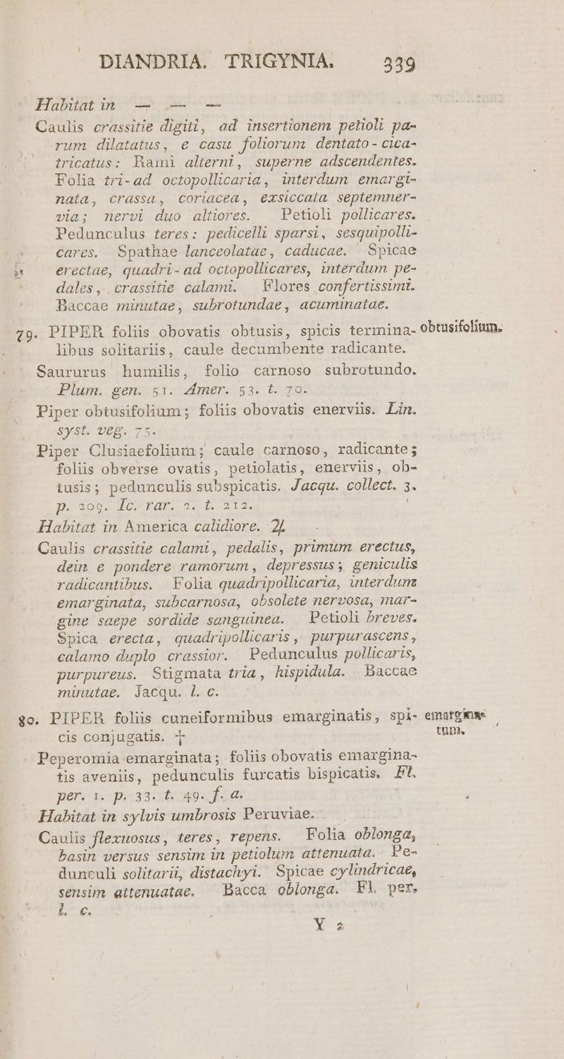 kJ Habitatin — -— -— Caulis crassitie digiti, ad insertionem petioli pa- rum dilatatus, € casu foliorum dentato - cica- iricatus: Bhamài alterni, superne adscendentes. Folia zri-ad octopollicaria, interdum emargt- nata, crassa, coriacea, exsiccata septemner- via; mervi duo altiores. Petioli pollicares. Pedunculus feres: pedicelli sparsi, sesquipolli- cares. Spathae lanceolatae, caducae. Spicae erectae, quadri- ad octopollicares, intérdum pe- dales, crassitie calami. — Vlores confertissumt. Baccae minutae, subrotundae, acuminatae. libus solitariis, caule decumbente radicante. Saururus humilis, folio carnoso subrotundo. Plum. gen. 51. zmer. 53. t. 70. Piper obtusifolium ; foliis obovatis enerviis. Lin. syst. veg. 75. Piper Clusiaefolium ; caule carnoso, radicante; folis obvwerse ovatis, petiolatis, enerviis, ob- p. 299. TqOUIDL STE c. Habitat in America calidiore. 2l Caulis crassitie calami, pedalis, primum erectus, dein e pondere ramorum , depressus; geniculis radicantibus. Folia quadripollicaria, interdum emarginata, subcarnosa, obsolete nervosa, mar- gine saepe sordide sanguinea. | Petioli breves. Spica erecta, quadripollicaris , purpurascens , calamo duplo crassior. Pedunculus pollicaris, purpureus. Stigmata tria, hispidula. | Baccae minutae. jacqu. L c. cis conjugatis. T Peperomia emarginata; foliis obovatis emargina- tis aveniis, pedunculis furcatis bispicatis, P. per. 1. p. 33. t. 49. f. a. | Habitat in sylvis umbrosis Peruviae. — Caulis flexuosus, teres, repens. Folia oblonga, basin versus sensim in petiolum attenuata. Pe- dunculi solitarii, distachyi. Spicae cylindricae, sensim attenuatae. — Bacca oblonga. VW per. L6. XY 2 emato inae tum.