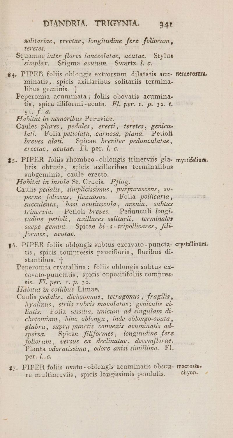 solitariae, erectae, longitudine fere foliorum, teretes. Squamae inter flores laséeolatae) acutae. Stylus simplex. Stigma acutum. Swartz. Ll. c. $4. PIPER folus oblongis extrorsum dilatatis acu- tlemerosui. minatis,. spicis axillaribus solitariis termina- libus geminis. Peperomia acuminata; foliis obovatis acumina- tis, spica filiformi-acuta. P7. per. 1. p. 32. t. Ep foa Habitat in nemoribus Peruviae. ^ Caules plures, pedales, erecti, teretes, genicu- lati. Folia petiolata, .carnosa, plana. Peuoli breves alati. — Spicae breviter pedunculatae, erectae, acutae. Vl. per. L. c. $5. PIPER folis rhombeo- oblongis trinerviis gla- myrtifoliums, bris obtusis, spicis. axillaribus terminalibus subgeminis, caule erecto. Habitat in insula St. Crucis. Pflug. Caulis pedalis, simplicissimus, purpurascens, su- perne foliosus, flexuosus. ^ Folia pollicaria, succulenta, basi acutiuscula, avenia, subtus trinervia, | Petioh breves. Pedunculi longi- tudine petioli, azilares selitarii, | terminales -saepe gemini. Spicae bi-s-tripollicares , Jfilz- formes, acutae. $6. PIPER folus oblongis subtus excavato- puncta- crystallinum. tis, spicis compressis paucitloris , floribus di- stantibus. | Peperomia crystallina; foliis oblongis subtus exe cavato-punctatis, spicis oppositifoliis compres- sis. PT. per. *. p. 30. Habitat in collibus Limae. Caulis pedalis, dichotomus, tetragonus , fragilis, hyalinus, stris rubris maculatus; geniculis ci- liatis. Folia sessilia, unicum ad singulam di- chotomiam, hinc oblonga, inde oblongo-ovata , glabra, supra punctis convexis acuminatis ad- spersa. . Spicae filiformes, longitudine fere foliorum, versus ea declinatae, decemflorae. Planta odoratissima, odore anisi simillimo. Fl. per. L.c. à;. PIPER foliis ovato - oblongis acuminatis obscu- imactost&amp;« re multinervis, spicis longissimis pendulis. chyon. «
