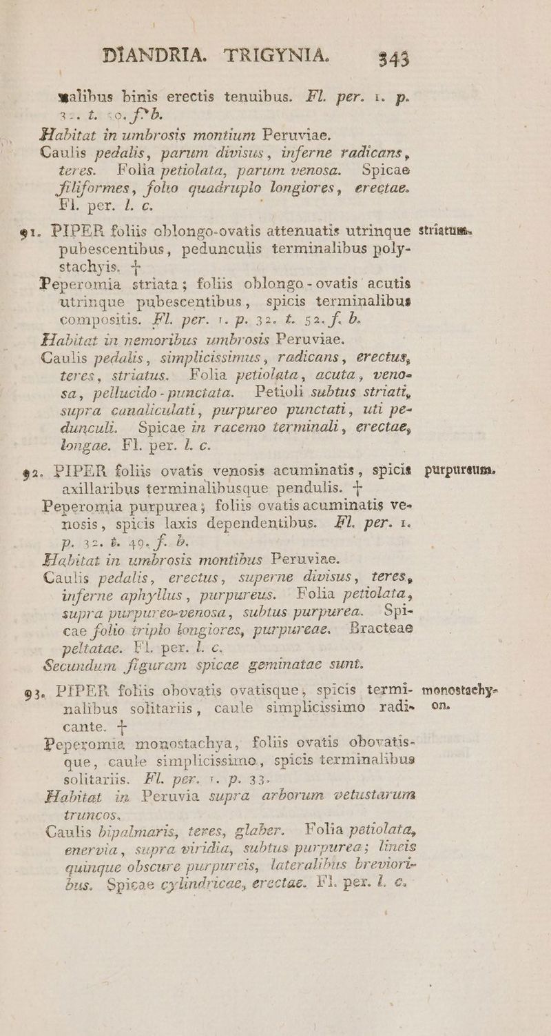 walibus binis erectis tenuibus. Fl per. i. p. ee a Gone Habitat in umbrosis montium Peruviae. Caulis pedalis, parum divisus, inferne radicans, teres. Folia petiolata, parum venosa. | Spicae filiformes, folo quadruplo longiores, erectae. PL per-L c. i 91. PIPER foliis oblongo-ovatis attenuatis utrinque striatum. pubescentibus, pedunculis terminalibus poly- stachyis. | Peperomia striata; folis oblongo -ovatis acutis utrinque pubescentibus, spicis terminalibus compositis. FL per. :. p. 32. t. 52. f. D. Habitat in nemoribus umbrosis Peruviae. Caulis pedalis, simplicissimus, radicans, erectus, teres, striatus. Folia petiolata, acuta, veno- sa, pellucido - punciata. | Petioli subtus striatt, supra canaliculati, purpureo punctati, uti pe- dunculi. Spicae in racemo terminali, erectae, longae. Fl. per. 4. c. e2. PIPER foliis ovatis venosis acuminatis, spicit purpureum. axillaribus terminalibusque pendulis. | Peperomia purpurea; folis ovatis acuminatis ve- nosis, spicis laxis dependentibus. El. per. p.32... 49. f. b. Habitat in umbrosis montibus Peruviae. Caulis pedalis, erectus, superne divisus, teres, inferne aphyllus, purpureus. Folia petiolata, supra purpureo-venosa, subtus purpurea. Spi- cae folio iriplo longiores, purpureae. Bracteae peltatae. Vl. per. L c. Secundum figuram spicae geminatae sunt. 93, PIPER folis obovatis ovatisque, spicis termi- monostachy- nalibus solitariis, caule simplicissimo radi» on. came cr Peperomia monostachya, folii ovatis obovatis- que, caule simplicissimo, spicis terminalibus solitarüs. PT. per. :. p. 33. Habitat im Peruvia supra arborum wetustarum íruncos. Caulis bipalmaris, teres, glaber. | Volia petiolata, enervia, supra viridia, subtus purpurea; lineis quinque obscure purpureis, lateralibus breviori- bus. Spicae cylindricae, erectae. Vl. pex. L. c.