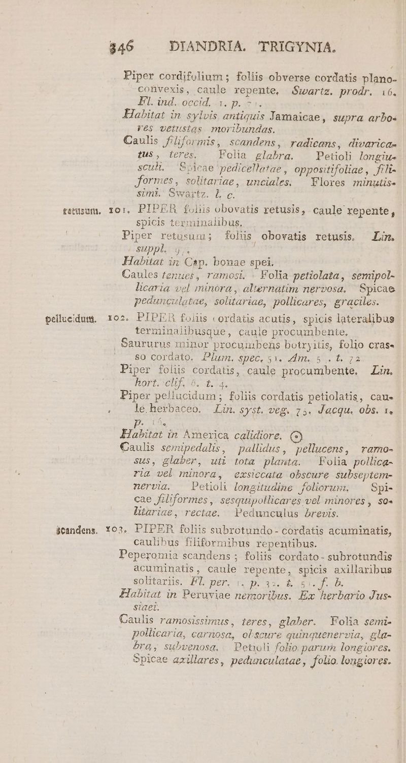 Piper cordifolium ; foliis obverse cordatis plano- convexis, caule repente, Swartz. prodr. i6. El. ind.. occid, a. p. 3. Habitat in sylvis antiquis Jamaicae, supra arbo« Ves vetustas moribundas. Caulis filiformis, scandens, radicams, divarica-. tus, teres. — Folia glabra. ^ Petioli longiu- scuh, Spieae pedicellatae , oppositifoliae , fili- formes, solitariae, unciales. — Flores minutis. simi. Swartz. L c. reusum. 10:. PIPER folis obovatis retusis, caule xepente, spicis terminalibus, Piper retusum; foliis obovatis retusis. Lim. 28uppl. j;. 2 Habitat in Cap. bonae spei. Caules tenues, ramosi. . Folia petiolata, semipol- licaria vel minora, alternatim nervosa, Spicae pedunculatae, solitariae, pollicares, graciles. pellueidum, 102. PIPER folus cordatis acutis, spicis lateralibus terminalibusque, caule procumbente, Saururus minor procuiubens botryitis, folio cras- .$0 cordato. Plum. spec. 5x. adm. 5 .. t. 72 Piper foliis cordatis, caule procumbente. Lim. s Hort, 01558. 4.3. i Piper pellucidum ; foliis cordatis petiolatis, cau- . — lé herbaceo. Lin. syst. veg. 75. Jacqu. obs. x. P 159. Habitat in America calidiore. Caulis semipedalis, pallidus, pellucens, ramo- sus, glaber, uti tota planta. Folia pollica- riz vel minora, exsiccata obscure subseptem- nervia. — Petioli longitudine foliorum, ^ Spi- cae fzl'formes ,. sesquipollicares vel minores, so« litariae, rectae. Pedunculus brevis. candens. 103. PIPER foliis subrotundo- cordatis acuminatis, caulibus filiformihus repentibus. Peperomia scandens ; foliis cordato- subrotundis acuminatis, caule repente, spicis axillaribus solitarns. FT per-r. 5.32. &amp; X era Habitat in Peruviae nemoribus. Ex herbario Jus- siaet. Caulis ramosissimus, teres, glaber. Folia semi- pollicaria, carnosa, oblscure quinquenervia, gla- bra, subvenosq, Petioli folio. parum longiores. Spicae azillares, pedunculatae, folio. longiores.