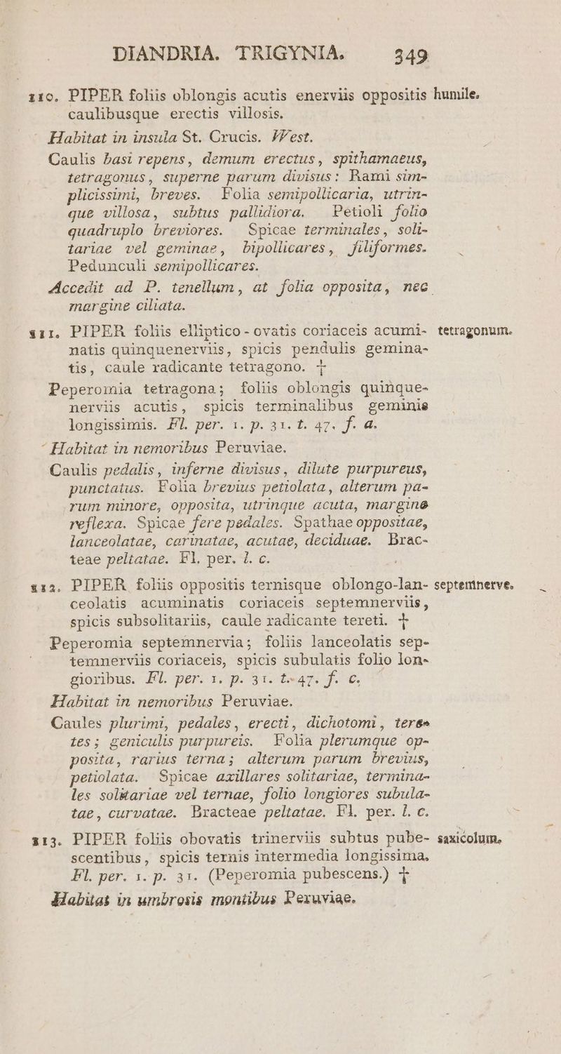 110. PIPER foliis oblongis acutis enerviis oppositis caulibusque erectis villosis. Habitat in insula St. Crucis. JZest. Caulis basi repens, demum erectus, spithamaeus, tetragonus, superne parum divisus: Rami sim- plicissimi, breves. . Folia semipollicaria, utrin- que villosa, subtus pallidiora. | Petioli folio quadruplo breviores. | Spicae terminales, soli- tariae vel geminae, bipollicares, filiformes. Pedunculi semipollicares. hunile. margine ciliata. | i11, PIPER foliis elliptico- ovatis coriaceis acumi- natis quinquenervis, spicis pendulis gemina- tis, caule radicante tetragono. i Peperomia tetragona; foliis oblongis quinque- nervis acutis, spicis terminalibus gemunis longissimis. FL. per. :. p. 31. t. 47. f. a. ^ Habitat in nemoribus Peruviae. Caulis pedalis, inferne divisus, dilute purpureus, punctatus. Folia brevius petiolata, alterum pa- rum minore, opposita, utrinque acuta, margine reflexa. Spicae fere pedales. Spathae oppositae, lanceolatae, carinatae, acutae, deciduae. | Brac- teae peltatae. Vl. per. l. c. ; 112. PIPER foliis oppositis ternisque oblongo-lan- ceolatis acuminatis coriaceis septemnerviis, spicis subsolitariis, caule radicante tereti. T Peperomia septemnervia; foliis lanceolatis sep- temnerviis coriaceis, spicis subulatis folio lon- sioribus. KL per. qnos dern jf Habitat in nemoribus Peruviae. Caules plurimi, pedales, erecti, dichotomi , teree tes; geniculis purpureis. Folia plerumque op- posita, rarius terna; alterum parum brevius, petiolata. Spicae axillares solitariae, termina- les sol&ariae vel ternae, folio longiores subula- tae, curvatae. Bracteae peltatae. Fl. per. Lc. 113. PIPER foliis obovatis trinerviis subtus pube- scentibus, spicis ternis intermedia longissima. Fl. per. 3. p. 31. (Peperomia pubescens.) T Habiüat in umbrosis moniibus Pexuviae. tetragonum. septemnerve, $axicolum,