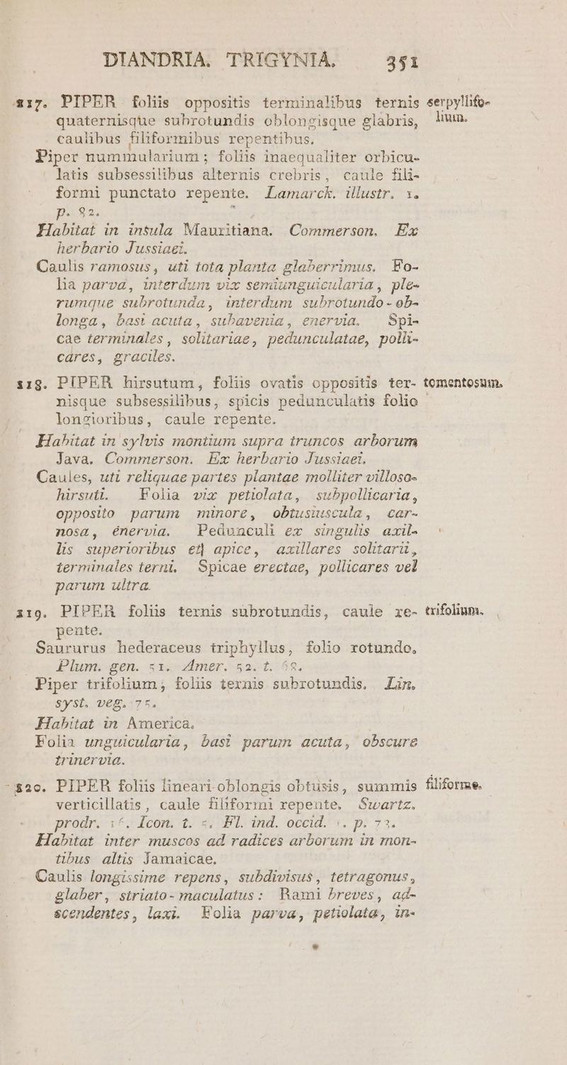 317. PIPER foliis oppositis terminalibus ternis serpyllifo- quaternisque subrotundis oblonzisque glabris, wm. caulibus filiformibus repentibus. Piper nummularium ; foliis inaequaliter orbicu- latis subsessilibus alternis crebris, caule fili- formi punctato repente. Lamarck. illustr. 3. p. 82. TS Habitat in insula Mauxitiana. Commerson. Ex herbario Jussiaei. Caulis ramosus, uti tota planta glaberrimus, Eo- ha parva, interdum vix semiunguicularia, ple- rumque subrotunda, interdum. subrotundo - ob- longa, bast acuta, subavenia, enervia. ^ Spi- cae terminales , solitariae, pedunculatae, polü- cares, graciles. 119. PIPER hirsutum, folis ovatis oppositis ter- tomentosum. nisque subsessilibus, spicis pedunculatis folio - longioribus, caule repente. Habitat in sylvis montium supra truncos arborum Java. Commerson. Ex herbario Jussiaet. Caules, uti reliquae partes plantae molliter villoso- hirsuti. — Folia vix petiolata, subpollicaria, opposito parum minore, obtusiuscula, car- nosa, énervia. Pedunculi ex singulis axil. : lis superioribus €t] apice, axillares solitarü, terminales terni, | Spicae erectae, pollicares vel parum ultra. i19. PIPER folis ternis subrotundis, caule re- trifolium. pente. | Saururus hederaceus triphyllus, folio rotundo, $c dun -sen. «aíscximer. 5231.68. Piper trifolium ; folüs texnis subrotundis. Lim. Syst. v€8, 7r. Habitat in America. Folia unguicularia, bas? parum acuta, obscure trinerva. -$2o. PIPEB foliis lineari oblongis obtusis, summis füiforme. - verticillatis, caule filiformi repente. Swartz. prodr. 1€» Icon. 1. s; FL. ind. occid. v. p. 73. Habitat inter muscos ad radices arborum in mon- tibus altis Jamaicae. Caulis longissime repens, subdivisus, tetragonus , glaber, sitriato- maculatus: Rami breves, ad- scendentes, laxi. Folia parva, petiolata, in-