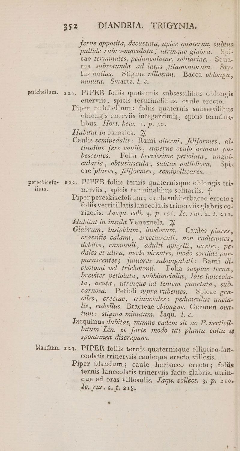 guichellum. pereshiaefo- lium, blandum. -DIANDRIA. TRIGYNIA. ^ palüde rubro-maculata ; utrinque glabra. | Spi- cae terminales, pedunculatae, solitariae. Squa- ma subrotunda ad latus filamentorum, | Siy- lus nullus. Stigma villosum. Bacca oblonga, minuta. Swartz. l. c. PIPER folus quaternis subsessilibus oblongis. enerviis, spicis terminalibus, caule erecto. oblongis enerviis integerrimis, spicis termünas libus. Hort, ken: 4n go; titudine fere caulis, superne oculo armato. pu- bescentes. — Folia brevissime petiolata, ungui. cularia, obtusiuscula, subtus pallidiora, — Spi- cae plures, filiformes, semipollicares. nervis, spicis terminalibus solitariis. 4 foliis verticillatis lanceolatis trinerviis glabris co- riaceis. Jacqu. coll. 4. p. 126. Ic. rar. 2. 1. 21a. crassitie calami, erectiusculi, non radicantes , debiles, ramosuli, adulti aphylli, teretes, pe- dales et ultra, modo virentes, modo sordide purs. purascentes; juniores subangulati: Rami di- chotomi vel trichotomi. Folia saepius terna, ta, acuta, utrinque ad lentem punctata , sub- carnosa. Petioli supra rubentes. Spicae gra- cles, erectae, triunciales : pedunculus uncias lis, rubellus. Bracteae oblongae. Germen ova- tum: stigma minuium. Jaqu. l.c. latum Lin. et forie modo uti planta culta & spontanea discrepans. ceolatis trinerviis cauleque erecto villosis. ternis lanceolatis trinerviis facie glabris, utrin- que ad oras villosulis. Jaqu. collect. 3. p. 210» 4e. rar. a. t. 218.