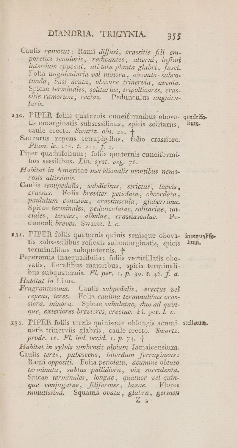i Cauls ramosus: Mami diffusi, crassitie fili em- poretici tenuieoris, radwantes, alterni, infimi interdum oppositi, uti tota planta glabri, fusci. Folia unguicularia vel minora, obovato- subro- | tunda, basi acuta, obscure trinervia, avenia. Spicae terminales, solitariae, tripollicares, cras- sdie ramorum, rectae. — Pedunculus unguicu- laris. 130. PIPER foliis quaternis cuueiformibus obova- ts emarginaüs subsessilibus, spicis solitariis, caule erecto. Swartz. obs. 25. Pium;/de. 2v9. 1 qaod 2, Piper quadrifolium ; foliis quaternis cuneiformi- bus sessilibus. Lin. syst. veg. 76. Habitat in Americae meridionalis montibus nemo- rosis altissimis. Caulis semipedalis, subdivisus, strictus, laevis, crassus. | Folia breviter petiolata, obcordata , paululum concava, crassiuscula , glaberrima. |. Spicae zerminales, pedunculatae, solitariae, un- ciaies, teretes, albidae, crassiusculae. — Pe- dunculi breves. Swartz. L c. 131, PIPER foliis quaternis quinis senisque obova- tis subsessilibus reflexis subemarginatis, spicis ierminalibus subquaternris. Jj Peperomia inaequalifolia; foliis verticillatis obo- vatis, Ífloralibus majoribus, spicis terminali- bus subquaternis. FL per. 1. p. 3o. t. 46. f. a. Habitat in Lima. PMragrantssima. Caulis subpedalis, erectus vel repens, teres. Folia caulina terminalibus cras- siorg, minora. Spicae subulatae, duo ad quin- que, exteriores breviores, erectae. Fl. pex. 1. c. 332. PIPER foliis ternis quinisque oblongis acumi- natis trinerviis glabris, caule erecto. Swartz. prodr. 16. PT ind. occid. 3. p.74. Habitat in sylvis umbrosis alpium Jamaicensium. Caulis feres, pubescens, interdum ferrugineus: ami oppositi. Folia petiolata, acumine obtuso terminata, subtus pallidiora, vix succulenta. Spicae zerminales, longae, quatuor wel quin- que conjugatae, filiformes, laxae. | Flores minulisuni Squama evafa, ec germen ^ quadrifae lium. inaequalifo» lium, stellatum.