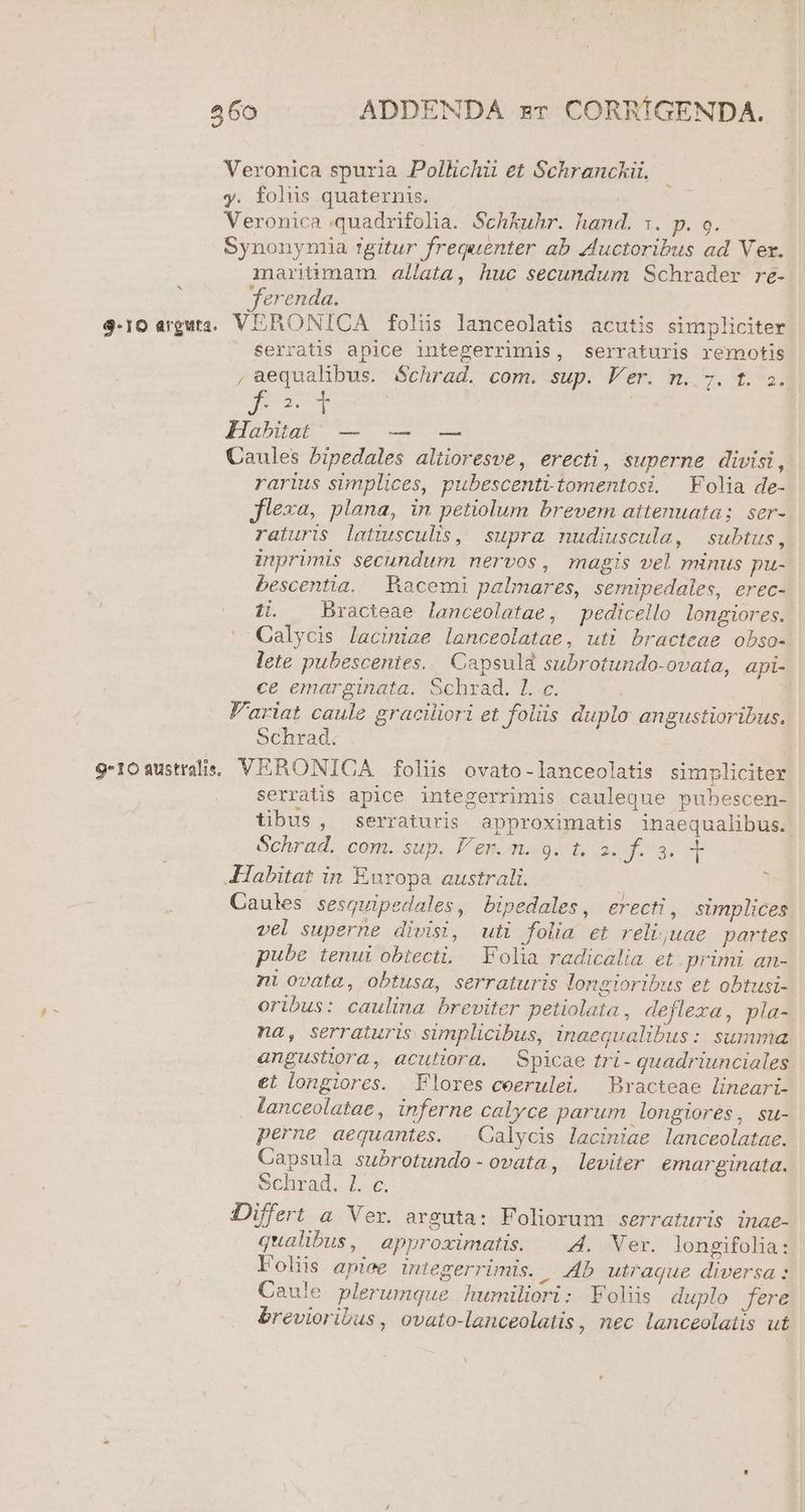 Veronica spuria Pollichii et Schranckii. y. folis quaternis. Veronica .quadrifolia. Schkuhr. hand. 1. p. 9. Synonymia tgitur frequenter ab 4Auctoribus ad Ver. martüumam allata, huc secundum Schrader re- ferenda. 9-10 arguta. VERONICA folus lanceolatis acutis simpliciter , aequalibus. Schrad. com. sup. Fer. n. 7. t. 2. qaum | Caules bipedales altioresve, erecti, superne divisi, rarius simplices, pubescenti-tomentosi. Folia de- flexa, plana, in petiolum brevem attenuata; ser- raturis latiusculis, supra nudiuscula, subtus, inprimis secundum nervos, magis vel minus pu- bescentia. Racemi palmares, semipedales, erec- ti. .Bracteae lanceolatae, pedicello longiores. Calycis laciniae lanceolatae, uti bracteae obso- lete pubescentes... Capsuld subrotundo-ovata, api- ce emarginata. Schrad. 1L. c. | Variat caule graciliori et foliis duplo angustioribus. Schrad. 9-10 sustrali, VERONICA folis ovato-lanceolatis simpliciter serratis apice integerrimis cauleque pubescen- tibus, serraturis approximatis inaequalibus. -Habitat in Europa australi. | Caules sesquipedales, bipedales, erecti, simplices vel superne divisi, uti folia et reliquae partes pube tenui obiecti, Folia radicalia et primi an- ni ovata, obtusa, serraturis longioribus et obtusi- oribus: caulina breviter petiolata , deflexa, pla- na, serraturis simplicibus, inaequalibus: summa angustiora, aculiora. Spicae tri- quadriunciales. €t longiores. Flores ceerulei, Bracteae lineari- . lanceolatae, inferne calyce parum longiores, su- perne aequantes. | Calycis laciniae lanceolatae. Capsula subrotundo-ovata, leviter emarginata. Schrad. 1. c. Differt a Ver. arguta: Foliorum serraturis inae- qualibus, approximatis. ^ 4. Ver. longifolia: Foliis apiee mtegerrimis. |. db. utraque diversa: Caule plerumque humiliori: Foliis duplo fere brevioribus , ovato-lanceolatis, nec lanceolatis ut ^