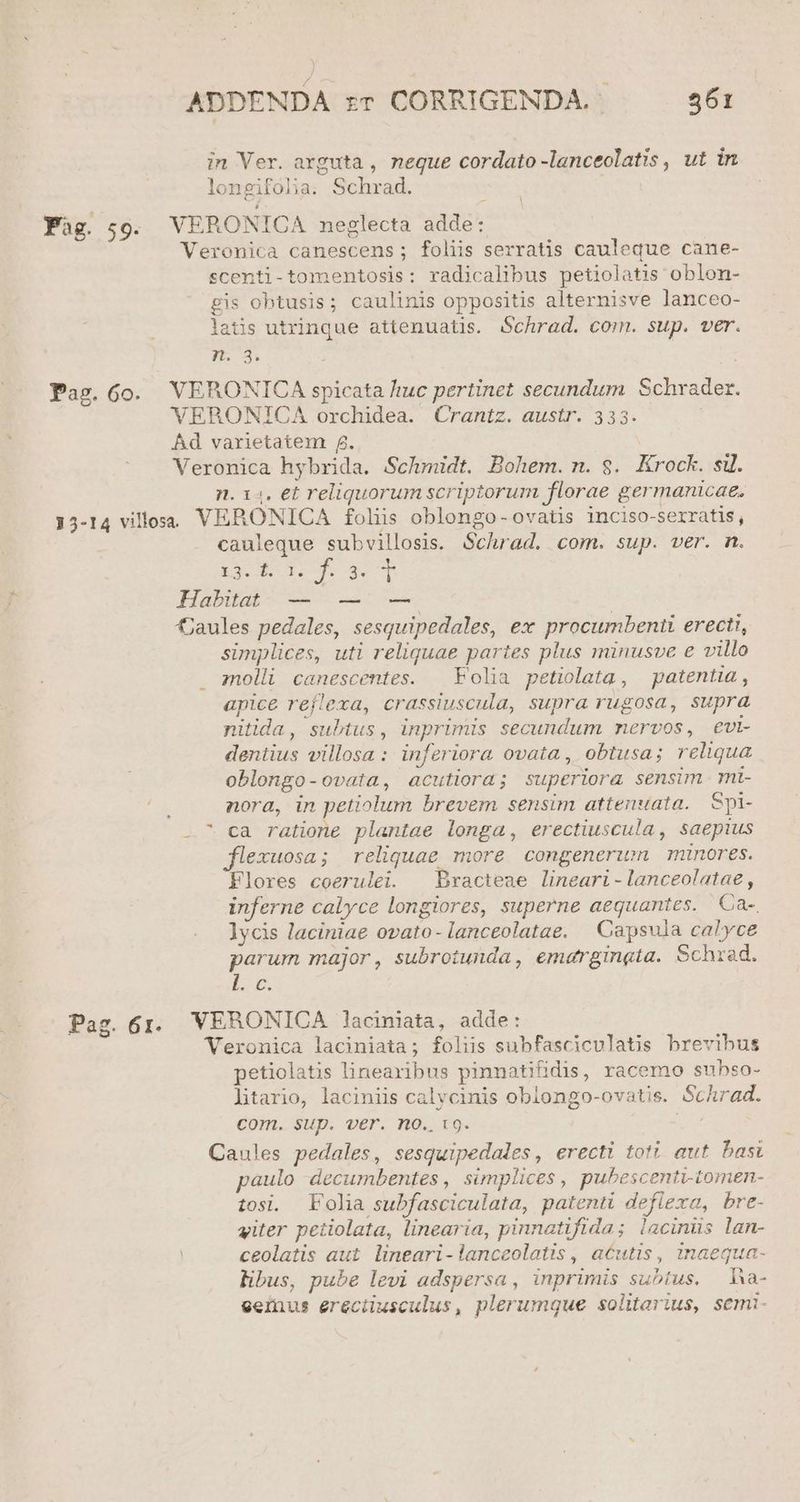 Paz. 6o. longifolia. Schrad. l scenti-tomentosis: radicalibus petiolatis oblon- gis obtusis; caulinis oppositis alternisve lanceo- latis utrinque attenuatis. Schrad. com. sup. ver. rm 3. 29* n. 14. et reliquorum scriptorum florae germanicae. cauleque subvillosis. Schrad. com. sup. ver. m. E32... f. 3. T simplices, uti reliquae partes plus minusve e villo molli canescentes. — Folia petiolata, patentia , apice reflexa, crassiuscula, supra rugosa, supra nitida, subtus, inprimis secundum nervos, evi dentius villosa: inferiora ovata, obtusa; reliqua oblongo-ovata, acutiora; superiora sensim mt- nora, in petiolum brevem sensim attenuata. Spi- ca ratione plantae longa, erectiuscula , saepius jflexuosa; reliquae more congenerwm minores. Flores coerulei. ^ Bracteae lineari-lanceolatae, inferne calyce longiores, superne aequantes. Ca-. lycis laciniae ovato- lanceolatae. | Capsula calyce arum major, subrotunda, emurgingta. Schrad. : Jor , ? e o petiolatis lineavibus pinnatifidis, racemo subso- litario, laciniis calvcinis oblongo-ovatis. Schrad. com. sup. ver. no.. t9. AP. paulo decumbentes , simplices, pubescenti-tomen- tosi. Folia subfasciculata, patenti defiexa, bre- viter petiolata, linearia, pinnatifida; lacinüs lan- ceolatis aut. lineari-lanceolatis, acutis, inaequa- libus, pube levi adspersa, inprimis subtus. a- eeinus erectiusculus, plerumque solitarius, semi-