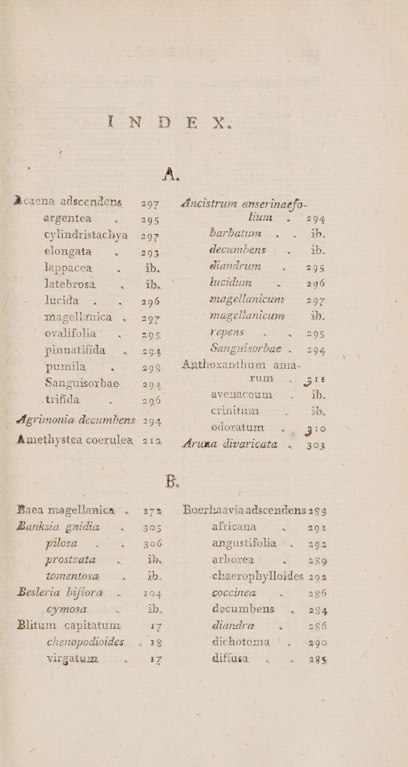 AMcaena adscendens argentea cylindristachya elongata 9 lappacea latebrosa. lucida : amagellgnica . ovalifolia ' a a M o. pinnatifida pumila . Sangutrsorbae. Arifida 9. . e:grüimonie decumbens Amethystea coerulea Baea magellanica . - Danksia gnidia pilosa prostzata LJ 2 zomentosa. Besleria biflora ,cymosa Blitum capitatun o * o chenopodioides virgatum, a L 175 325 A, D. 4Incistrum anserinaefo- Uum . 294 barbatum . . ib. decumbens , . b. diandrum | . 295 lucidum : 296 magellanicums — 297 magellanicum ib, repens SpA a Sangwisorbae . a Anthoxanthum ania- YUBE | $1z aveuaceum ib. crinitum b. odoratum . 3! Aruxa divaricata . 303 Boerhaaviaadscendens 2943 airicana : 201 angustifoha '. 292 arboxea : 289 :chaerophylloides 292 coccinea à 2g6 decumbens ., 294 diandra . 286 dichotoma ' . .39o Qiígsa ou agg