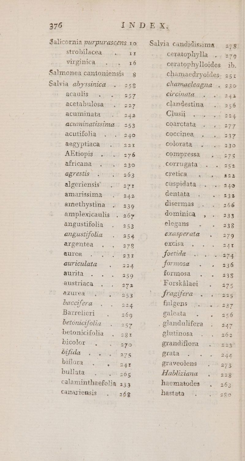 strobilacea virginica . acauls acetabulosa acuminata acutifolia . AEtopis . africana |. agrestis . algeriensis amarissima amethystina amplexicaulis angustifolia angustifolia argentea , üurcH. - auriculata aucta. austriaca , azurea ', ' baccifera |. Barrelieri betónicifolia betonicifolia bicolor |, ófida . , billora bullata Canariensis ^ [4 ix circinata, clandestina. HS oet: coarctata . COoccinea , colorata . compressa Corrugata .. Creo i cuspidata . . dentata , disermas .. dominica , elegans .. exasperata exclas-. Jfoetidgsizi formosa .. formosa . Forskálaei fragifera. . fulgens ... saleata . glutinosa grandiflora grata «4 ; graveolens Habliziana haematodes hastata .. e &amp;