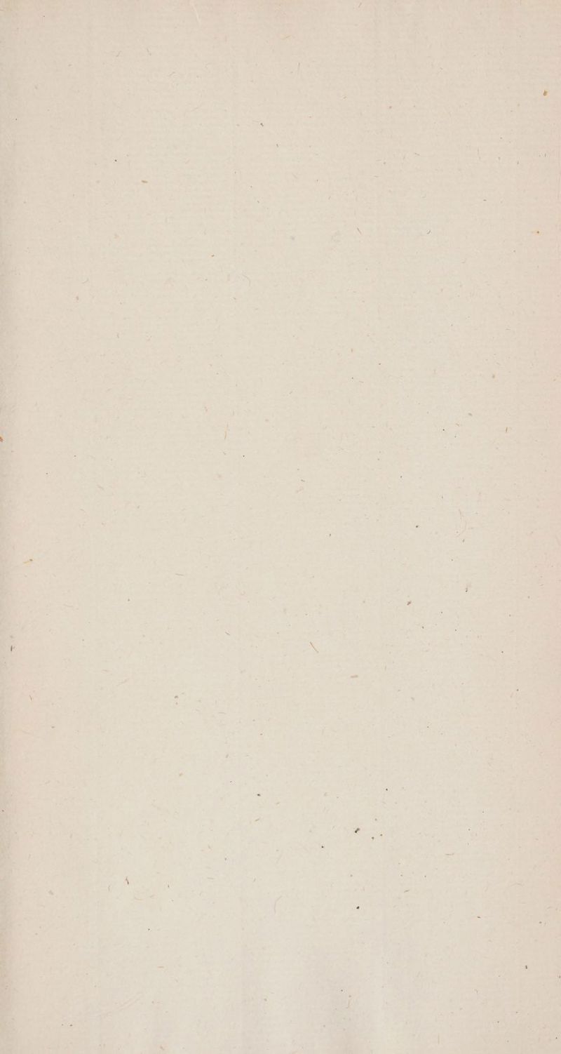 * «wb. s LI i CP x Posvohu 4 d 2 i VERUM iie à Xx.*wo) We TP et v a8* E » bs P4 ea d