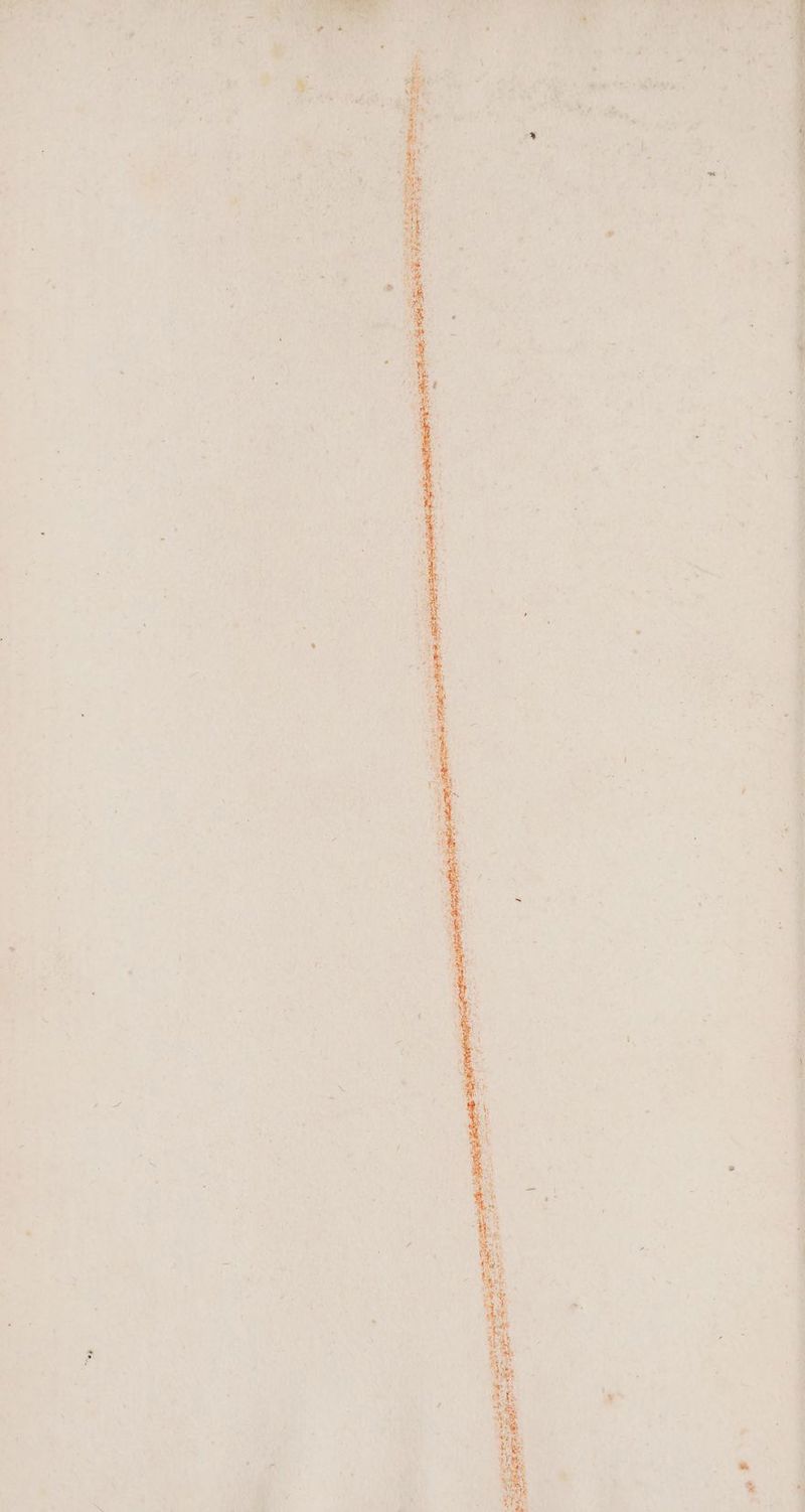 / m uh qum» SE. We [xs Wine -