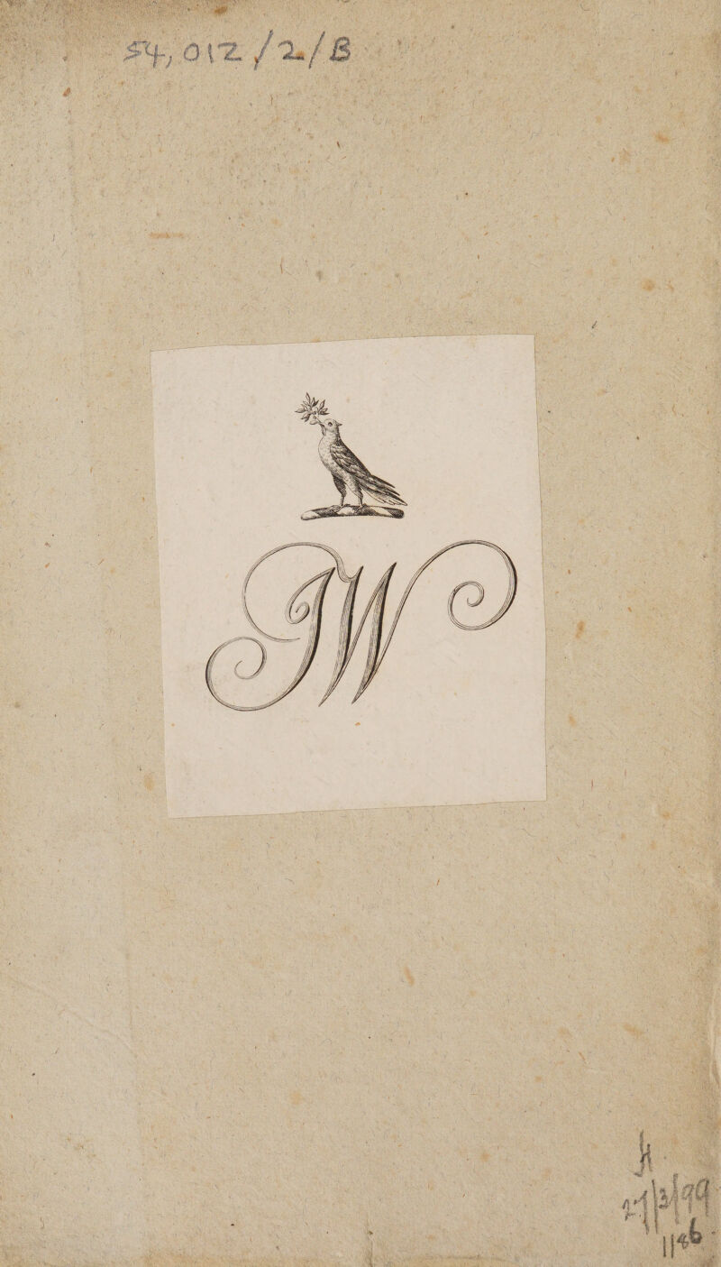 No text description is available for this image