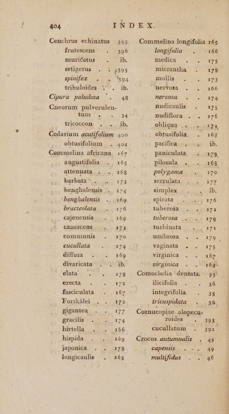Cenchrus echinatus 395 frutescens ^ . 396 miurdatus-. . Ab. setigerus :395 spinifez . . 7894 tribuloides ^. ib. Cipura paludosa ^ 48 Cneorum pulverulen- tum . 34 tricoccon 2 diras Codarium acutifolium 4o obtusifolium : 2401 Commelina africana. 167 . angustifolia 365 , attenuata . .. 168 p barbata * :; 173 pure. Do dg 'benghalensis .. 169 , bracteolata,....... 176 .. cajenensis. . 169 | canescens na A23 comniunis . 7o cucullata ij4 diffusa 1. -. 369 divaricàta 2 Vb: qwleta- ... 278 erecta . S Ru S fasciculata : 167 ! Torskálei . 172 gigantea ; 177 gracilis i s I74 hirtella xs 166 hispida 169 Japonica . -.. 78 longicaulis e 165 longifolia ^. | -x66 DIPdMÓ ,. c. pem micrantha . 1 78 ioMis ., | 173 'hertosa ^. -. i66 BePbOSH - S. . 374. nudicaulis .. 175 nudiflora » 375 obliqua... .. 322a obtusifolia. . 168 paginas assu db. paniculata, . 179 pilosula ., 168 polygama E T 7 o ts serrulata. 2477 | simplex , jab. spirata ; 176 tub erosa £X A7 tuberosa wxtue f 178 turbinata |. . won umbrosa . .. 3179 vagindtà 4. 375 Nimginica |. .. 465 virginica . . 6g. Cornocladia * dentata, 35' ilicifolia S35 integrifolia 35 tricuspidata 1:589. Cornucopiae- alopecu- Xolde$ - . 399. cucullatum 392 Crocus autumnalis . 45 capensis :w. - 9 multifidus C £46
