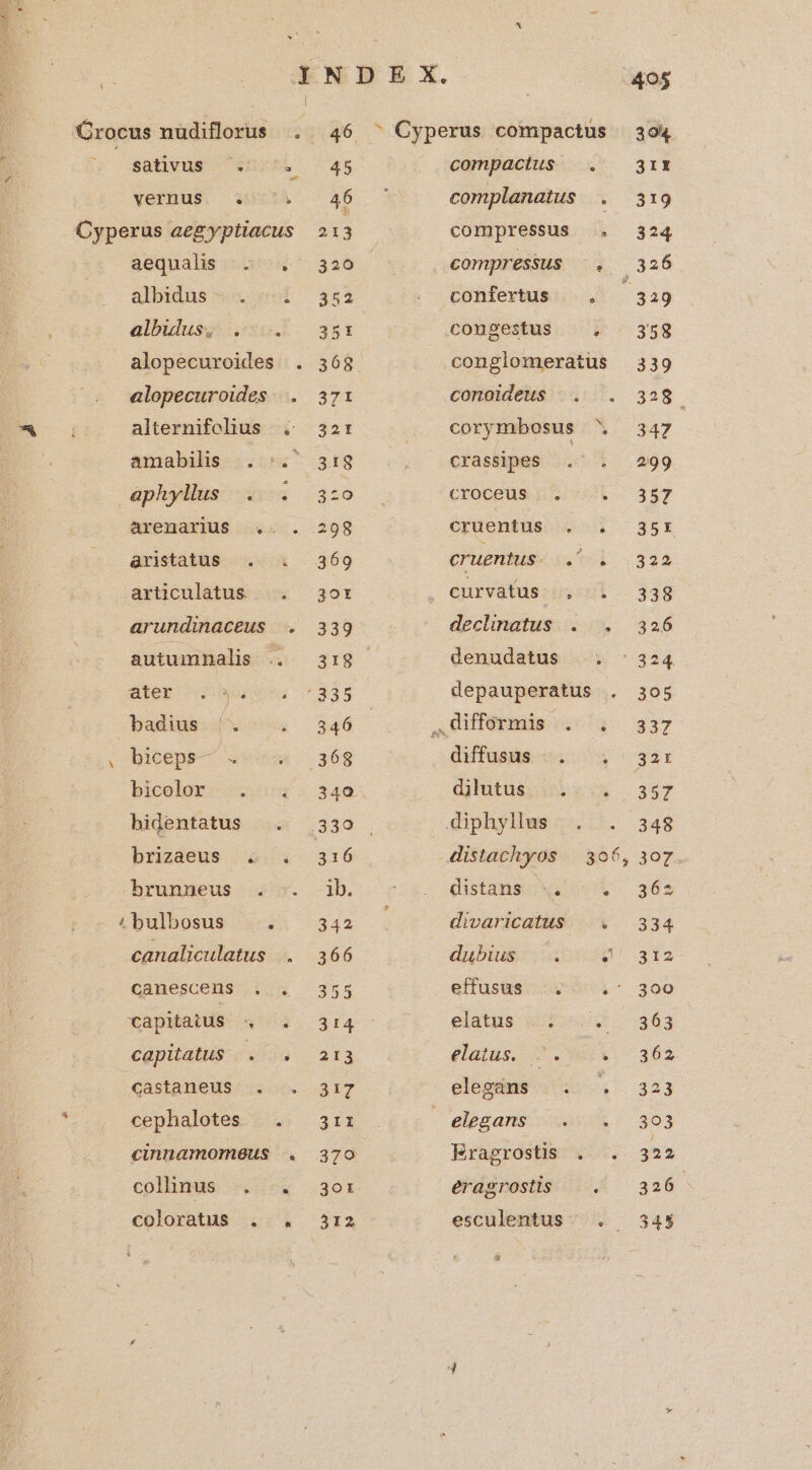 CC Crocus nudiflorus . 46 ^ Cyperus compactus 394 8 sativus ^.755. — 45 compactus — . — 3r yefnus. wn 46. complanatus .. 319 Cyperus aegyptiacus 2:3 compressus . 324 aequalis:-a6 326 compressus ^. 326 albidus X ei 352 . confertus . 3a 9 albilus 0. ^ 35t congestus s 329 alopecuroides . 368 conglomeratus 339 alopecuroides |. 371 conoideus .. . 338. » 1 alternifclius ; 32r corymbosus '. 347 amabilis |... 318 crassipes TT -ephylius wr 03:0 — crocgüs Hoo L- 357 arenarius .. . 298 : Gerdenins 4 4 ^ 35H Qristatus . . 369 cruentus viel: i322 articulatus.. . — 3or . curvatus deeni 138 arundinaceus . 339 declinatus . . 326 autumnalis .. ri. denudatus .. : 324 ütep o4 335 depauperatus . 305 badius /. . 846 ,JHopEbris' a 317 . biceps— . 4&amp; 36g diffusus .. . 32r bicolür. 4. 340 GREOESES EIA 357 bidentatus .. 339 . Jiphyllus ;.. |. 348 brizáeus . 2:4 316 distachyos | 306, 307 brunseus e. 1b. . ros. distanscx «362 4bulbosus |». 342 . divaricatus |. 334 canaliculatus . 366 dubius —. . p 113 canescens . . 355 effusus .; —.- 3oo ; Capitatus 4 ^. 314 elits (ut. 363 capitatus .. . 213 dans C... 302 castaneus . . 317 elegdns : . 323 » cephalotes 5» 3:3 . | elegans s. 303 cinnamomeus . 370 Eragrostis . . 322 colhnus 0$ 301: erdgrostis | 326. coloratus . . 312 esculentus ^ . 343 D]