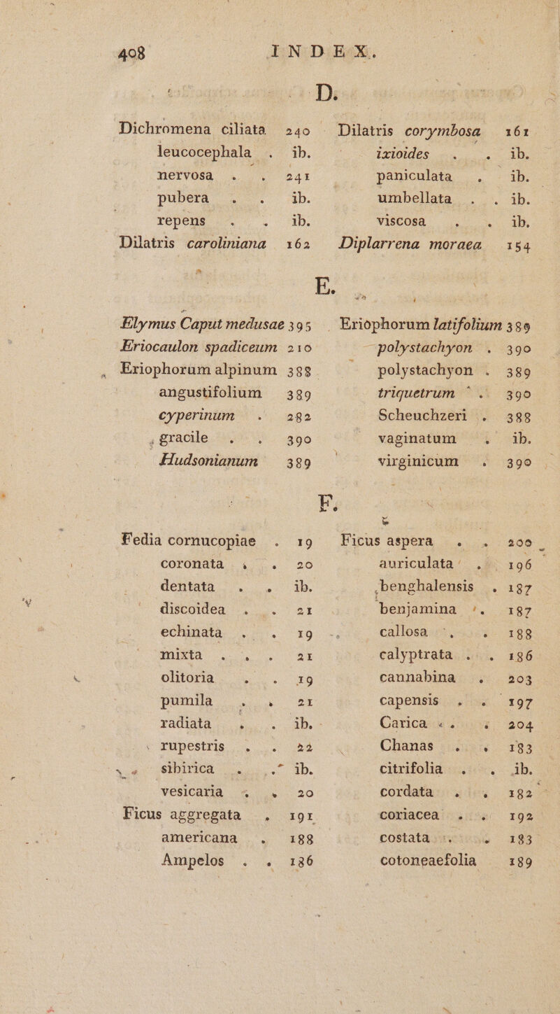 leucocephala . nervosa . puberaà . repens Dilatris caroliniana ET Z5. 240 . Dilatris corymbosa — 161 1b, ixioides . . 3s 241 paniculata |. . ib. ib. umbellata . . ib. ib. viscosa i ddl. M 162 . Diplarrena moraea 184 Z3  Erriocaulon spadiceum Eriophorum alpinum angustifolium cyperinum .gracde .. Hudsonianum Fedia cornucopiae coronatà 4, .. dentata |. . .. discoidea . . echinatà. .- amikid olitoria M: pumia . . radiata . | Füpestris |... vesicarla 4 . americana .. Anpelos . 210 —polystachyon . 39o 388. ; polystachyon . 389 389 triquetrum ^ .. 390 282 Scheuchzeri . 388 390 . .vagimatum ^ i. ib. BRE. virginicum — . 39o F. - 19 litus asperaà . . .. 896 20 auriculata/ . | 1 96 ib. ,benghalensis . 187 2I benjamina P. SP 10. 4 Calosá s. 53:2- 198 ar calyptrata .. . 196 19 cannabina .. 203 2I capensis. ,--. 197 ib. - Carica «4 54, 204^ 2$ oq Chanás (03 1933 ib. citrifolaa . . ib. 20 cordata: 4; i4. 392 E 19r GOXIaCed 4:56. 192 188 costatà; nci sso 183 186 cotoneaefolia ^ 189