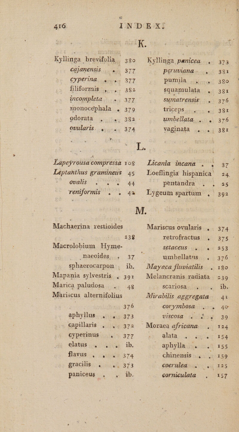 Kyllinga | brevifolia. . 380 Kyllinga penicea . 373 Cajanensis....... 377 peruviaua-- ....: 383 cyperina... «su 372 pümüla uns 380 Bthformi;. ... i82 ; squamulata .,. agr iUncoumplela 3. ua 327 sumatrensis » 376 monocephala , 379 triceps... e: 381 odorata 4:54. 382 - umbellata. .. . 376 OUUÍGIIS. uiu. 374 vaginata .,.... 38r L. Lapeyrousa compressa 108 Licania incana . . 37 ij Leptanthus gramineus 45 ^ Loeflingia hispanica 24 gouES T a4 pentandra . , a5 reniformis . . 42 Lygeum spartum , aga M. Machaerina restioides Mariscus ovularis 45.374 | 239 retrofractus , 375 Macrolobium Hyme- . ^ SELaCEHS o0. 253 naeoides, . 37 : umbellatus. , 376 sphaerocarpon . ib. ^ Mayaca fluviatilis |. 190 Mapania sylvestris. , 39: — Melancramis radiata 239 Marica paludosa ... 4g í scariosmsisiess 15e Mariscus alternifolius Mirabilis aggregata |. 4 | 376 corymbosa . 4. 4o aphyllus....455:4.. 373 viscosa . mo. 4 (390 capilaris , ,. 372 . Moraea africána. .. 124 cyperinus Www 377 jo glad u. unu I54 elatus,u 0 ib ^ aphyldeuse 523 rss flyus . Qu 374 chinensis |,  159 gracilis, 44 373 cperulag s o. (125 paniceus £ 3) D corniculata |, 157