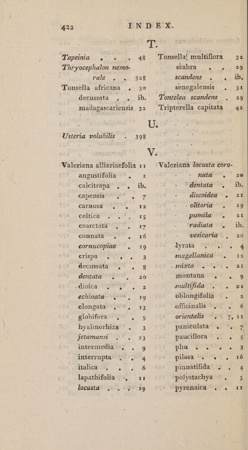 Puedo... à e. 48 Thryocephalon nemo- rue. .-5428 'Tonsella africana ., 3o madapascariensis 32 Usteria volubilis . Valeriana alliariaefolia x: CP? ^ aupustfOobBa P^, zr calcitràpa , , CGapendsp eme o. CArMosp 499. £g celtict ^,^ 5 coarctáta ^, ^. r7 connadtd' 9 ^ 16 cornucopiae , 19 eS ON EM eeg decussata ,^ , g dentatá Q9 diokca Uyr9cur Co. echinate xg elongata. , * , z3 globifera ' , iE hyalinorhiza ^. 3 jetamansi /,. . x3 intermedia ^; , dnterrupta ^, ,- BalhocksN o 2 56 lapathifolia -., zr locustá-..,:—, 2 x9 Tonsella] multiflora — 32 stàbya^ .. ,.4 28 ib. senegalensis , 3: scandens . . Tontelea scandens .s 2$ fripterella capitata ^ 42 Valeriana locusta coro- natà ^, 2e dentata ^, ib. . discoidea ^. 2t 'olitoria ^, x9. pumia ^. 2x 20 vesicaria ., Ayxrata ^; IET S 4 magellanicá |» .. — i12 (mitur Pulp, sad montana , 2 9 multifida . . ea oblongifolia  2 officinalis ^1 , 6 orientalis ^, paniculata 4. ^, 7 paucillrd'8 Q.V 3 Dhw, QODNN . pilesa 547. 1. x6 pinnatifida , , 4 'polystachya ^, 5 spyrenaia . . i1