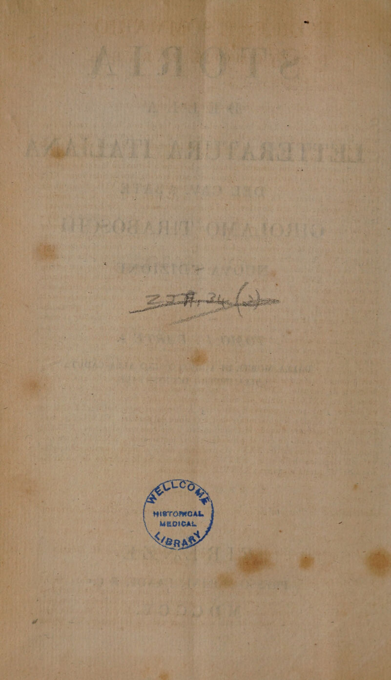 e PE È £ È È ; CETRA e La si: e : ig sai ì: MISTOPROAL MEDICAL Sara >