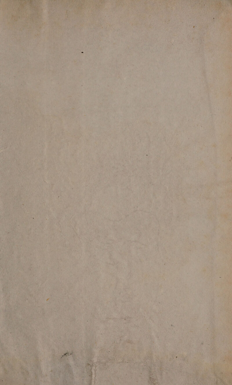 pr ag MAr pai der pia