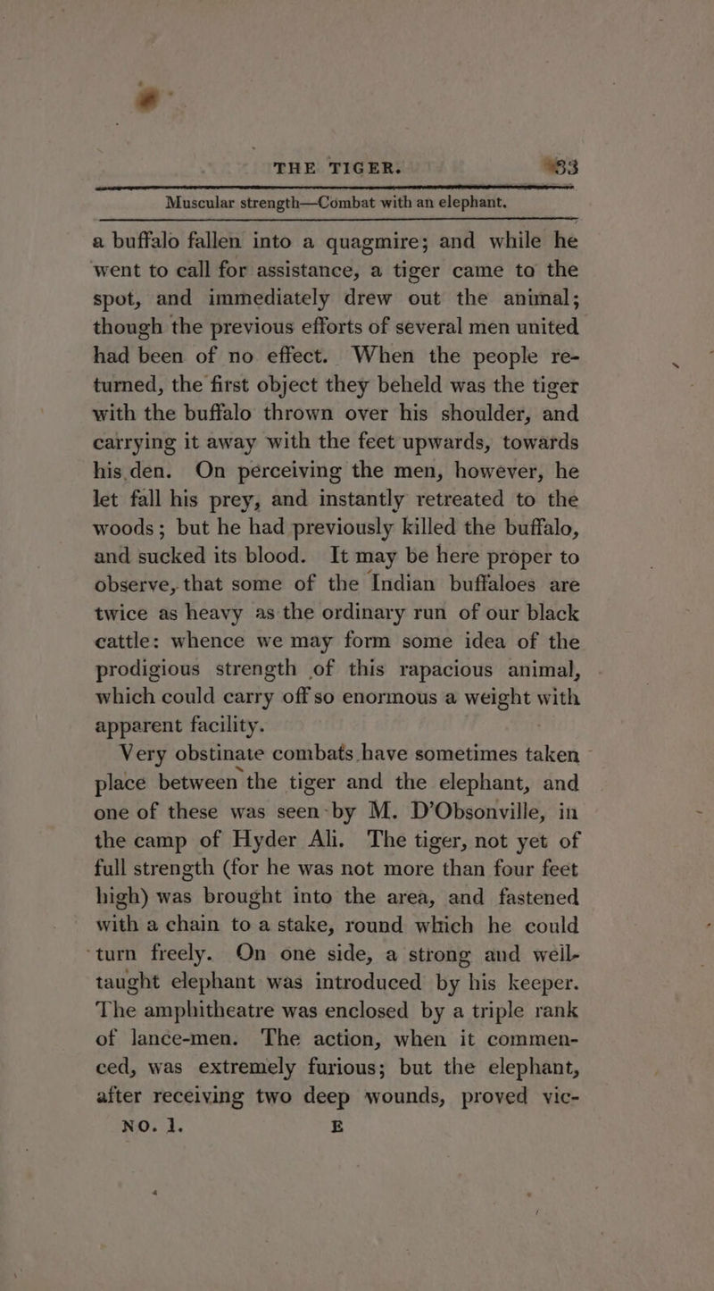 . THE TIGER. 553 Muscular strength—Combat with an elephant. — a buffalo fallen into a quagmire; and while he went to call for assistance, a tiger came to the spot, and immediately drew out the animal; though the previous efforts of several men united. had been of no effect. When the people re- turned, the first object they beheld was the tiger with the buffalo thrown over his shoulder, and carrying it away with the feet upwards, towards his. den. On perceiving the men, however, he let fall his prey, and instantly retreated to the woods; but he had previously killed the buffalo, and sucked its blood. It may be here proper to observe, that some of the Indian buffaloes are twice as heavy as the ordinary run of our black cattle: whence we may form some idea of the prodigious strength of this rapacious animal, which could carry off so enormous a weight with apparent facility. . Very obstinate combats have sometimes taken place between the tiger and the elephant, and one of these was seen-by M. D’Obsonville, in the camp of Hyder Ali. The tiger, not yet of full strength (for he was not more than four feet high) was brought into the area, and fastened with a chain to a stake, round which he could ‘turn freely. On one side, a strong and weil- taught elephant was introduced by his keeper. The amphitheatre was enclosed by a triple rank of lance-men. The action, when it commen- ced, was extremely furious; but the elephant, after receiving two deep wounds, proved yic- NO. 1. E
