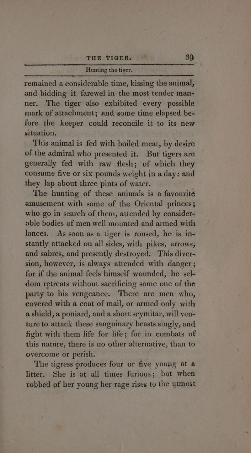 Hunting the tiger. remained a considerable time, kissing the animal, and bidding it farewel in the most tender man- ner. The tiger also exhibited every possible mark of attachment; and some time elapsed be- fore the keeper could reconcile it to its new situation. This animal is fed with boiled meat, by desire of the admiral who presented it. But tigers are generally fed with raw flesh; of which they consume five or six pounds weight in a day: and they lap about three pints of water. The hunting of these animals is a favourite amusement with some of the Oriental princes; who go in search of them, attended by consider- able bodies of men well mounted and armed with lances. As soon as a tiger is roused, he is in- stantly attacked on all sides, with pikes, arrows, and sabres, and presently destroyed. This diver- sion, however, is always attended with danger; for if the animal feels himself wounded, he sel- dom retreats without sacrificing some one of the party to his vengeance. There are men who, covered with a coat of mail, or armed only with a shield, a poniard, and a short scymitar, will ven- ture to attack these sanguinary beasts singly, and fight with them life for life; for in combats of this nature, there is no other alternative, than to overcome or perish. . The tigress produces four or five young at a litter. She is at all times furious; but when robbed of her young her rage rises to the utmost