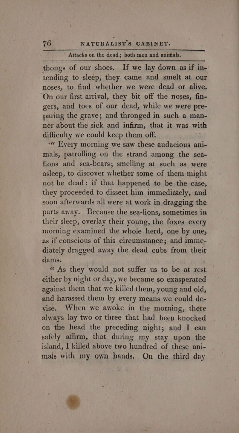 ’ Attacks on the dead; both men and anirmals. thongs of our shoes. If we lay down as if in- tending to sleep, they came and smelt at our noses, to find whether we were dead. or alive. On our first arrival, they bit off the noses, fin- gers, and toes of our dead, while we were pre- paring the grave; and thronged in such a man- ner about the sick and infirm, that it was with difficulty we could keep them off. ~« Every morning we saw these audacious ani- mals, patrolling on the strand among the sea- lions and sea-bears; smelling at such as were asleep, to discover whether some of them might not be dead: if that happened to be the case, they proceeded to dissect him immediately, and soon afterwards all were at work in dragging the parts away. Because the sea-lions, sometimes in their sleep, overlay their young, the foxes every morning examined the whole herd, one by one, as if conscious of this circumstance; and imme- diately dragged away the dead cubs from their dams. « As they would not suffer us to be at rest either by night or day, we became so exasperated against them that we killed them, young and old, and harassed them by every means we could de- vise. When we awoke in the morning, there always lay two or three that had been knocked on the head the preceding night; and I can safely affirm, that during my stay upon the island, I killed above two hundred of these ani- mals with my own hands. On the third day *
