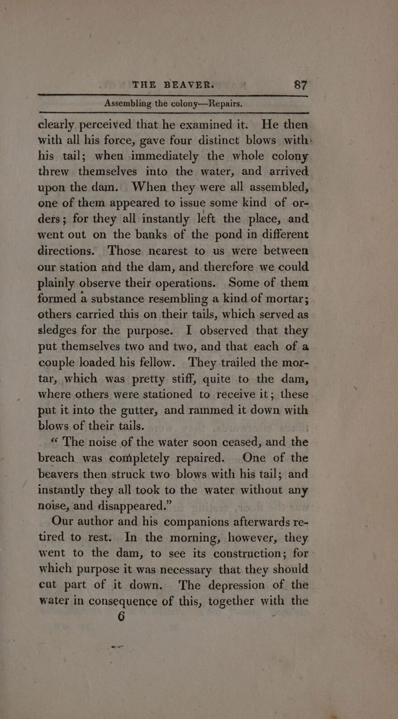 Assembling the colony—Repairs. clearly perceived that he examined it. He then with all his force, gave four distinct blows. with: his tail; when immediately the whole colony threw themselves into the water, and arrived upon the dam. When they were all assembled, one of them appeared to issue some kind of or- ders; for they all instantly left. the place, and went out on the banks of the pond in different directions. Those nearest to us were between our station and the dam, and therefore we could plainly observe their operations. Some of them formed a substance resembling a kind of mortar; others carried this on their tse which served as sledges for the purpose. I observed that they put themselves two and two, and that each of a couple loaded his fellow. They trailed the mor- tar, which was pretty stiff, quite to the dam, where others were stationed to receive it; these. put it into the gutter, and rammed it down with blows of their tails. “ The noise of the water soon ceased, and the breach was completely repaired. One of the beavers then struck two blows with his tail; and instantly they all took to the water without any noise, and disappeared.” Our author and his companions afterwards re- tired to rest. In the morning, however, they went to the dam, to see its construction; for: which purpose it was necessary that they should cut part of it down. The depression of the water in consequence of this, together with the 6 e