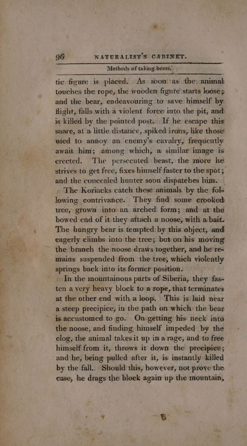 Methods of taking bears. tic figure is placed. As soon \as the) animab touches the rope, the wooden figure starts looses and the bear, endeavouring to save himself by flight, falls with a violent force ito. the pit, and is killed by the pointed post. If he eseape this snare, at a little distance, spiked irons, like those used to annoy an enemy's cavalry, frequently await him; among which, a similar image is erected. The persecuted beast, the more he strives to get free, fixes himself faster to the spot ; and the concealed hunter soon dispatehes him. » The Koriacks catch these animals by the fol- lowing contrivance. They find some crooked wee, grown into an arched form; and at the bowed end of it they attach a noose, with a bait. The bungry bear is tempted: by this object, and eagerly climbs into the tree; but on his moving the branch the noose draws together, and he’ re- mains suspended from the tree, which yaaa “gigs baek into its former position. In the mountainous parts of Siberia, they fas- ten a very heavy block tova rope, that terminates at the other end with a loop. This is laid near a steep precipice, in the path on which: the bear is accustomed to go. On getting his neck inte the noose, and finding himself impeded by the himself from it, throws it down the precipice; and he, being pulled after it, is instantly killed by the fall. Should this, however, not prove the case, he drags the block again up the mountain,