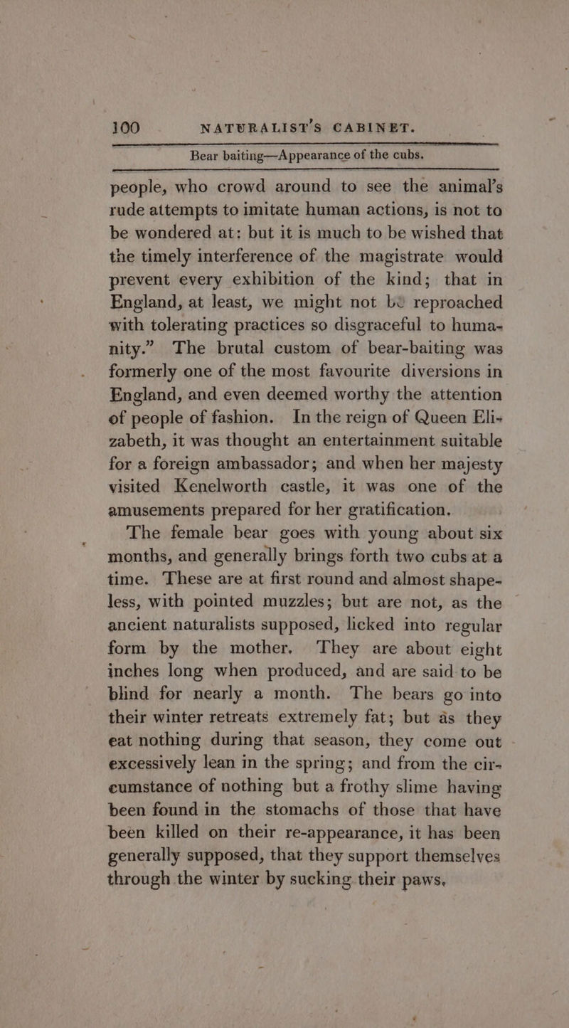 Bear baiting—Appearance of the cubs. ; people, who crowd around to see the animal’s rude attempts to imitate human actions, is not to be wondered at: but it is much to be wished that the timely interference of the magistrate would prevent every exhibition of the kind; that in England, at least, we might not bv reproached with tolerating practices so disgraceful to huma- nity.” The brutal custom of bear-baiting was formerly one of the most favourite diversions in England, and even deemed worthy the attention of people of fashion. In the reign of Queen Eli- zabeth, it was thought an entertainment suitable for a foreign ambassador; and when her majesty visited Kenelworth castle, it was one of the amusements prepared for her gratification. The female bear goes with young about six months, and generally brings forth two cubs at a time. These are at first round and almost shape- less, with pointed muzzles; but are not, as the ancient naturalists supposed, licked into regular form by the mother, They are about eight inches long when produced, and are said-to be blind for nearly a month. The bears go into their winter retreats extremely fat; but ds they eat nothing during that season, they come out excessively lean in the spring; and from the cir- eumstance of nothing but a frothy slime having been found in the stomachs of those that have been killed on their re-appearance, it has been generally supposed, that they support themselves through the winter by sucking their paws,