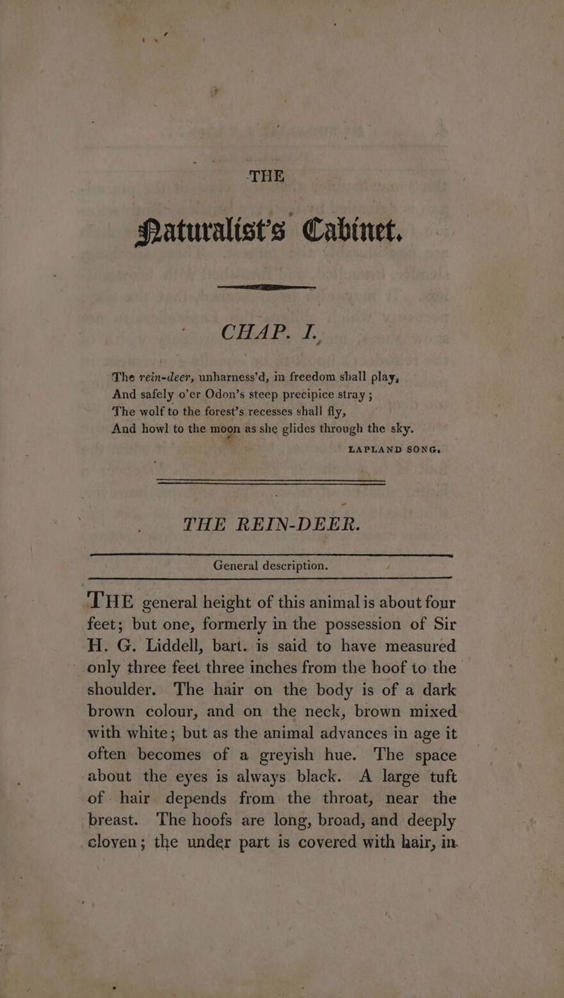 THE Paturalist’s Cabinet. CHAP. I. The rein-deer, unharness’d, in freedom shall play, And safely o’er Qdon’s steep precipice stray ; The wolf to the forest’s recesses shall fly, And howl to the anes she glides through the sky. LAPLAND SONG, THE REIN-DEER. General description. THE general height of this animal is about four feet; but one, formerly in the possession of Sir H. G. Liddell, bart. is said to have measured _ only three feet three inches from the hoof to the shoulder. The hair on the body is of a dark brown colour, and on the neck, brown mixed with white; but as the animal advances in age it often becomes of a greyish hue. The space about the eyes is always black. A large tuft of hair depends from the throat, near the breast. The hoofs are long, broad, and deeply cloven; the under part is covered with hair, in.