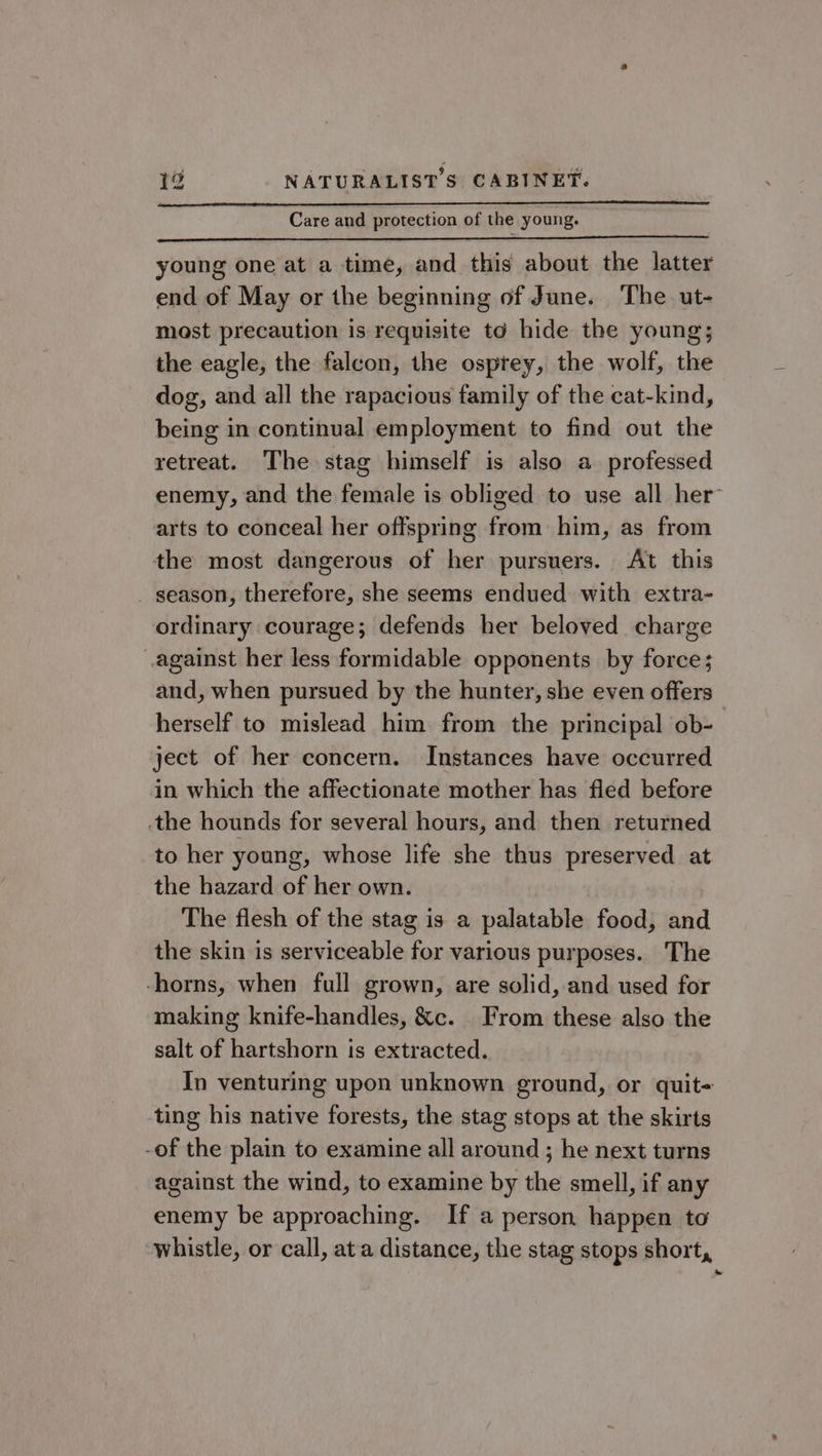 Care and protection of the young. young one at a time, and this about the latter end of May or the beginning of June. The ut- most precaution is requisite to hide the young; the eagle, the falcon, the osprey, the wolf, the dog, and all the rapacious family of the cat-kind, being in continual employment to find out the retreat. The stag himself is also a professed enemy, and the female is obliged to use all her arts to conceal her offspring from him, as from the most dangerous of her pursuers. At this _ season, therefore, she seems endued with extra- ordinary courage; defends her beloved charge against her less formidable opponents by force; and, when pursued by the hunter, she even offers herself to mislead him from the principal ob- ject of her concern. Instances have occurred in which the affectionate mother has fled before the hounds for several hours, and then returned to her young, whose life she thus preserved at the hazard of her own. The flesh of the stag is a palatable food, and the skin is serviceable for various purposes. The -horns, when full grown, are solid, and used for making knife-handles, &amp;c. | From these also the salt of hartshorn is extracted. In venturing upon unknown ground, or quit- ting his native forests, the stag stops at the skirts -of the plain to examine all around ; he next turns against the wind, to examine by the smell, if any enemy be approaching. If a person happen to whistle, or call, ata distance, the stag stops short,