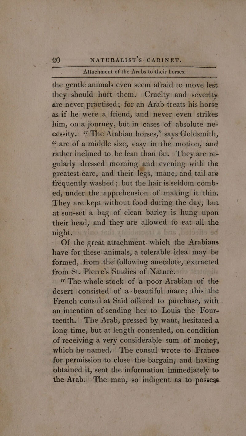 Attachment of the Arabs to their horses. the gentle animals even seem afraid to move lest they should hurt them. Cruelty and. severity are never practised; for an Arab treats his horse as if he were a friend, and never even strikes him, ona journey, but in cases of absolute ne- cessity. “ The Arabian horses,” says Goldsmith, « are of a middle size, easy in the motion, and rather inclined to be lean than fat. They are re- gularly dressed morning and evening with the greatest care, and their legs, mane, and tail are frequently washed; but the hair is seldom comb- ed, under the apprehension of making it thin. They are kept without food durimg the day, but at sun-set a bag of clean barley is hung upon their head, and they are allowed to eat. all the night. Of the great attachment. ahfoti the orldiciarn have for these animals, a tolerable idea may be formed, .from the following anecdote, extracted from St. Pierre’s Studies of Nature. «The whole stock of a poor Arabian of the desert. consisted of a-beautiful mare; this the French consul at Said offered to purchase, with . an intention of sending her to Louis the Four- teenth. The Arab, pressed by want, hesitated a long time, but at length consented, on condition of receiving a very considerable sum of money, which he named. The consul wrote to France for permission to close the bargain, and haying obtained it, sent the information immediately to the Arab. The man, so indigent as to possess.