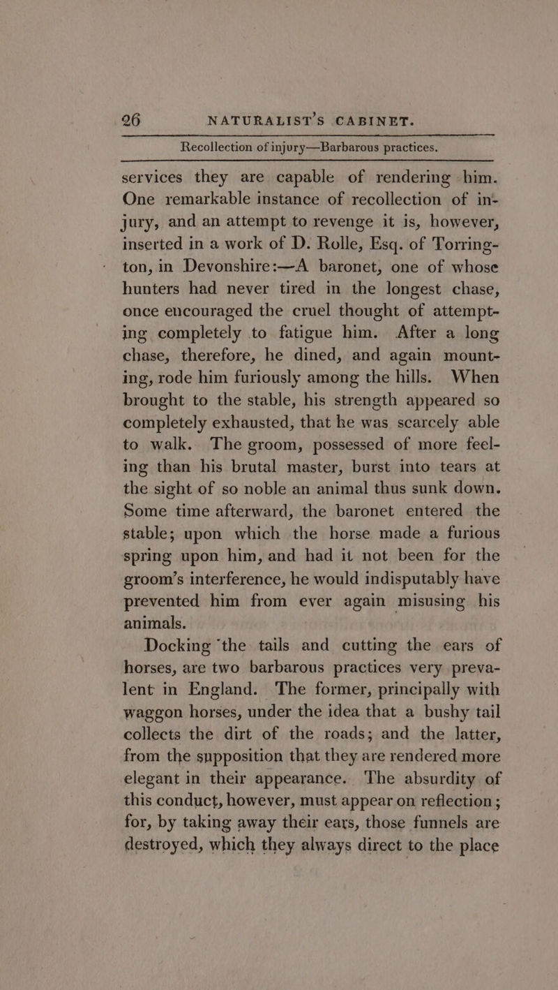 Recollection of injury—Barbarous practices. services they are capable of rendering him. One remarkable instance of recollection of in- jury, and an attempt to revenge it is, however, inserted in a work of D. Rolle, Esq. of Torring- ton, in Devonshire:—A baronet, one of whose hunters had never tired in the longest chase, once encouraged the cruel thought of attempt- ing completely to fatigue him. After a long chase, therefore, he dined, and again mount- ing, rode him furiously among the hills. When brought to the stable, his strength appeared so completely exhausted, that he was scarcely able to walk. The groom, possessed of more feel- ing than his brutal master, burst into tears at the sight of so noble an animal thus sunk down. Some time afterward, the baronet entered the stable; upon which the horse made a furious spring upon him, and had it not been for the groom’s interference, he would indisputably have prevented him from ever again misusing his animals. Docking ‘the tails and cutting the ears of horses, are two barbarous practices very preva- lent in England. The former, principally with waggon horses, under the idea that a bushy tail collects the dirt of the roads; and the latter, from the supposition that they are rendered more elegant in their appearance. ‘The absurdity of this conduct, however, must appear on reflection ; for, by taking away their ears, those funnels are destroyed, which they always direct to the place