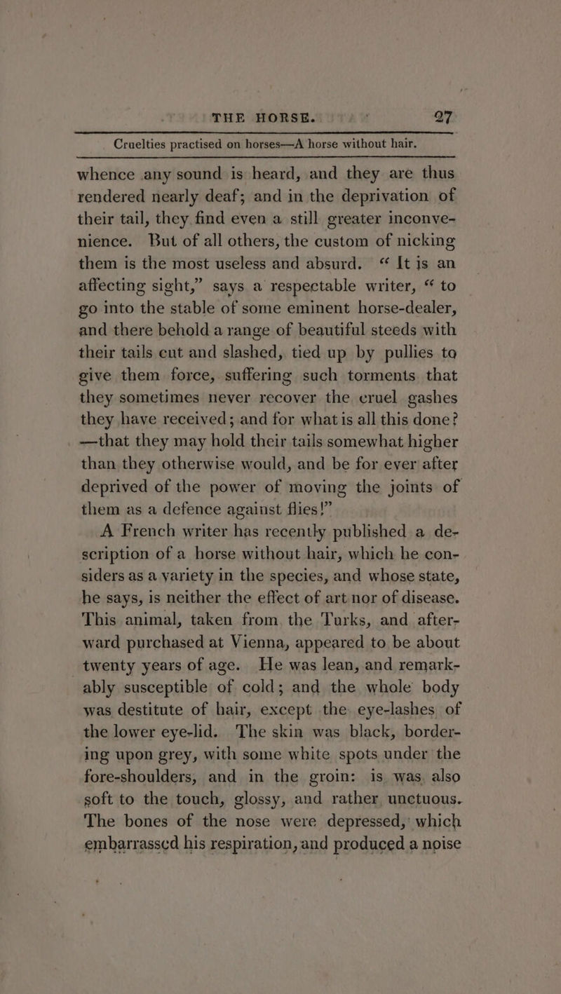Cruelties practised on horses—A horse without hair. whence any sound is heard, and they are thus rendered nearly deaf; and in the deprivation of their tail, they find even a still greater inconve- nience. But of all others, the custom of nicking them is the most useless and absurd. “ It is an affecting sight,” says a respectable writer, “ to go into the stable of some eminent horse-dealer, and there behold a range of beautiful steeds with their tails ent and slashed, tied up by pullies to give them force, suffering such torments. that they sometimes never recover the cruel gashes they have received; and for what is all this done? —that they may hold their tails somewhat higher than they otherwise would, and be for ever after deprived of the power of moving the joints of them as a defence against flies!” A French writer has recently published a de- scription of a horse without hair, which he con- siders as a yariety in the species, and whose state, he says, is neither the effect of art nor of disease. This animal, taken from the Turks, and after- ward purchased at Vienna, appeared to be about twenty years of age. He was lean, and remark- ably susceptible of cold; and the whole body was destitute of hair, except the eye-lashes of the lower eye-lid. The skin was black, border- ing upon grey, with some white spots under the fore-shoulders, and in the groin: is was, also soft to the touch, glossy, and rather, unctuous. The bones of the nose were depressed,’ which embarrasscd his respiration, and produced a noise