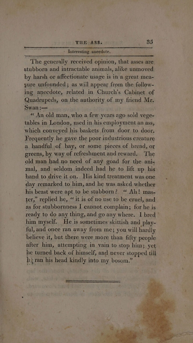 Interesting anecdote. The generally received opinion, that asses are. stubborn and intractable animals, alike unmoved by harsh or affectionate usage is in a great mea- sure unfounded ; as wiil appear from the follow- ing anecdote, is al in Church’s Cabinet of Quadrupeds, on the authority of my friend Mr. Swan :— « An old man, who a few years ago sold vege- tables in London, used in his employment an ass, which conveyed his baskets from door to door. Frequently he gave the poor industrious creature a handful of hay, or some pieces of bread, or greens, by way of refreshment and reward. ‘The old man had.no need of any goad for the. ani- mal, and seldom indeed had he to lift up his hand to drive iton. His kind treatment was one day remarked to him, and he was asked whether his beast were apt to be stubborn? “ Ah! mas- ter, ’ replied he, “ it is of no use to be cruel, and as for stubbornness I cannot complain; for he is ready to do any thing, and go any where. I bred him myself. He is sometimes skittish and play- ful, and once ran away from me; you will hardly believe it, but there were more Vl fifty people after him, attempting in vain to stop him; yet he turned back of himself, and never stopped till b. 12 ran his head kindly into my bosom.”