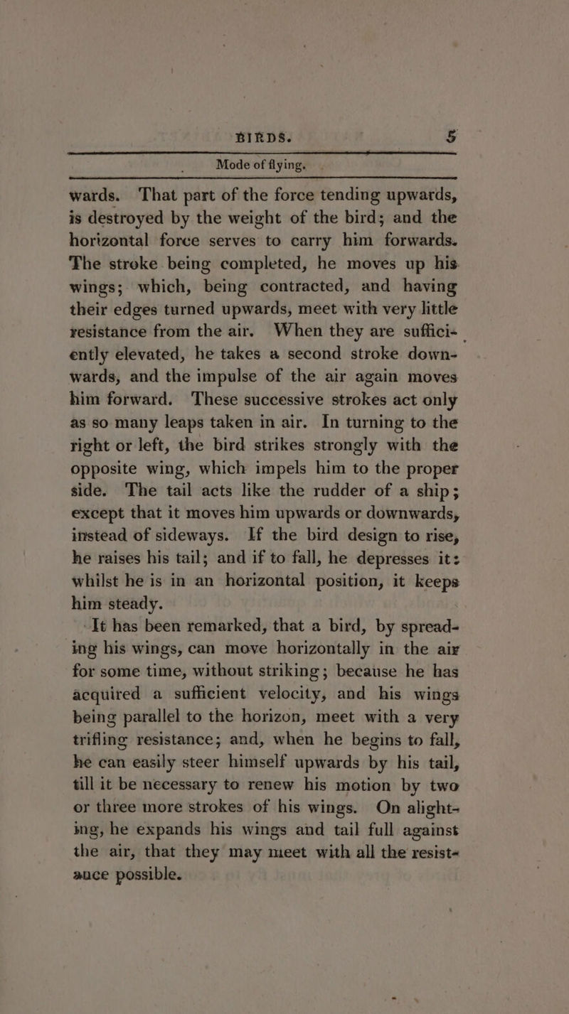 Mode of flying. wards. That part of the force tending upwards, is destroyed by the weight of the bird; and the horizontal force serves to carry him forwards. The stroke being completed, he moves up his. wings; which, being contracted, and having their edges turned upwards, meet with very little resistance from the air. When they are suffici-— ently elevated, he takes a second stroke down- wards, and the impulse of the air again moves him forward. These successive strokes act only as so many leaps taken in air. In turning to the right or left, the bird strikes strongly with the opposite wing, which impels him to the proper side. The tail acts like the rudder of a ship; except that it moves him upwards or downwards, instead of sideways. If the bird design to rise, he raises his tail; and if to fall, he depresses it: whilst he is in an horizontal position, it keeps him steady. It has been remarked, that a bird, by spread- ing his wings, can move horizontally in the air for some time, without striking; because he has acquired a sufficient velocity, and his wings being parallel to the horizon, meet with a very trifling resistance; and, when he begins to fall, he can easily steer himself upwards by his tail, till it be necessary to renew his motion by two or three more strokes of his wings. On alight- ing, he expands his wings and tail full against the air, that they may meet with all the resist- aace possible.